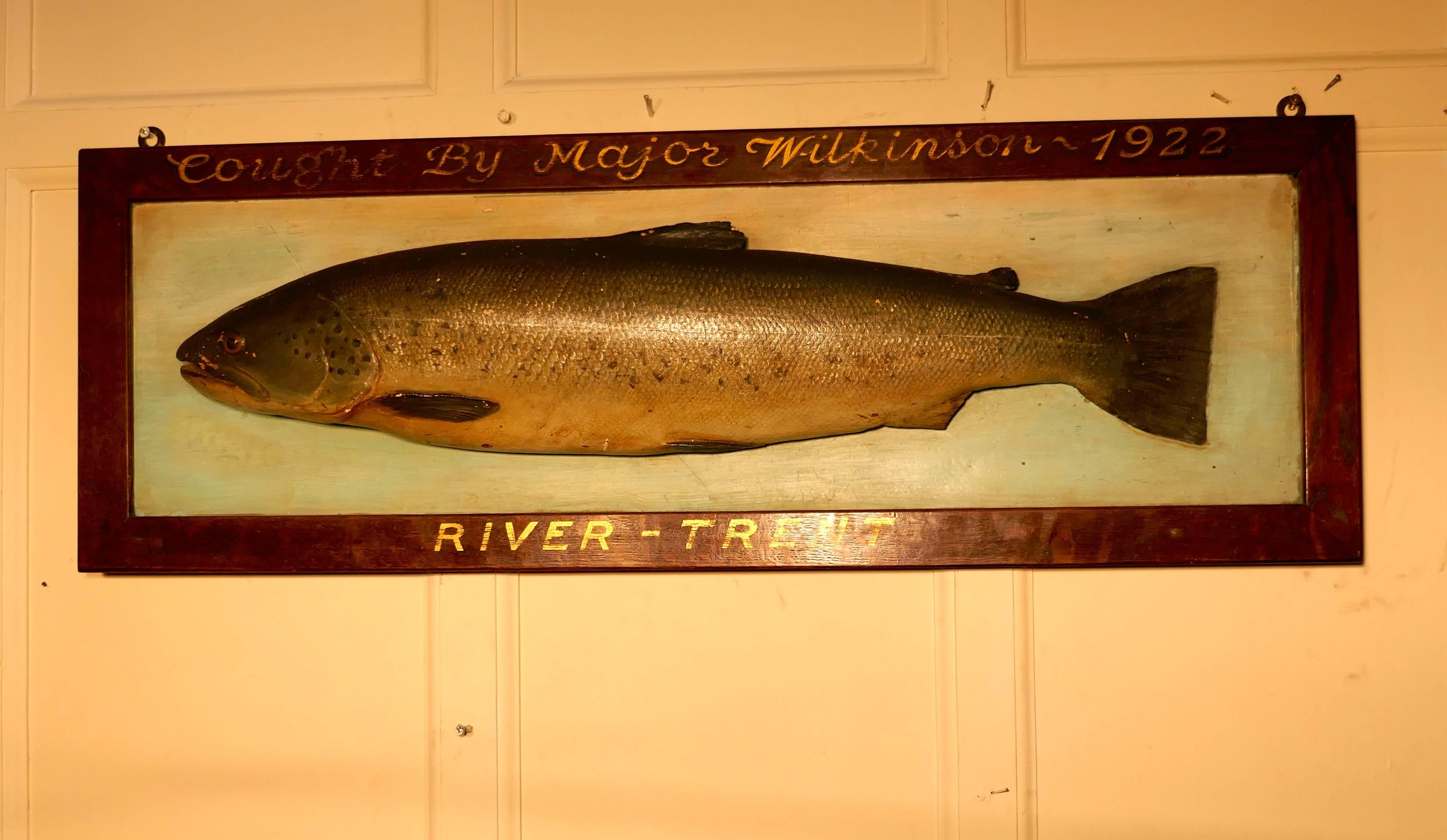 Mounted taxidermy of a trout from the river Trent, 1922

This is a mounted taxidermy of a trout from the river Trent 1922, the fish was caught by Major Wilkinson. This is a fine large specimen and is superbly stuffed and mounted, it is set on wood