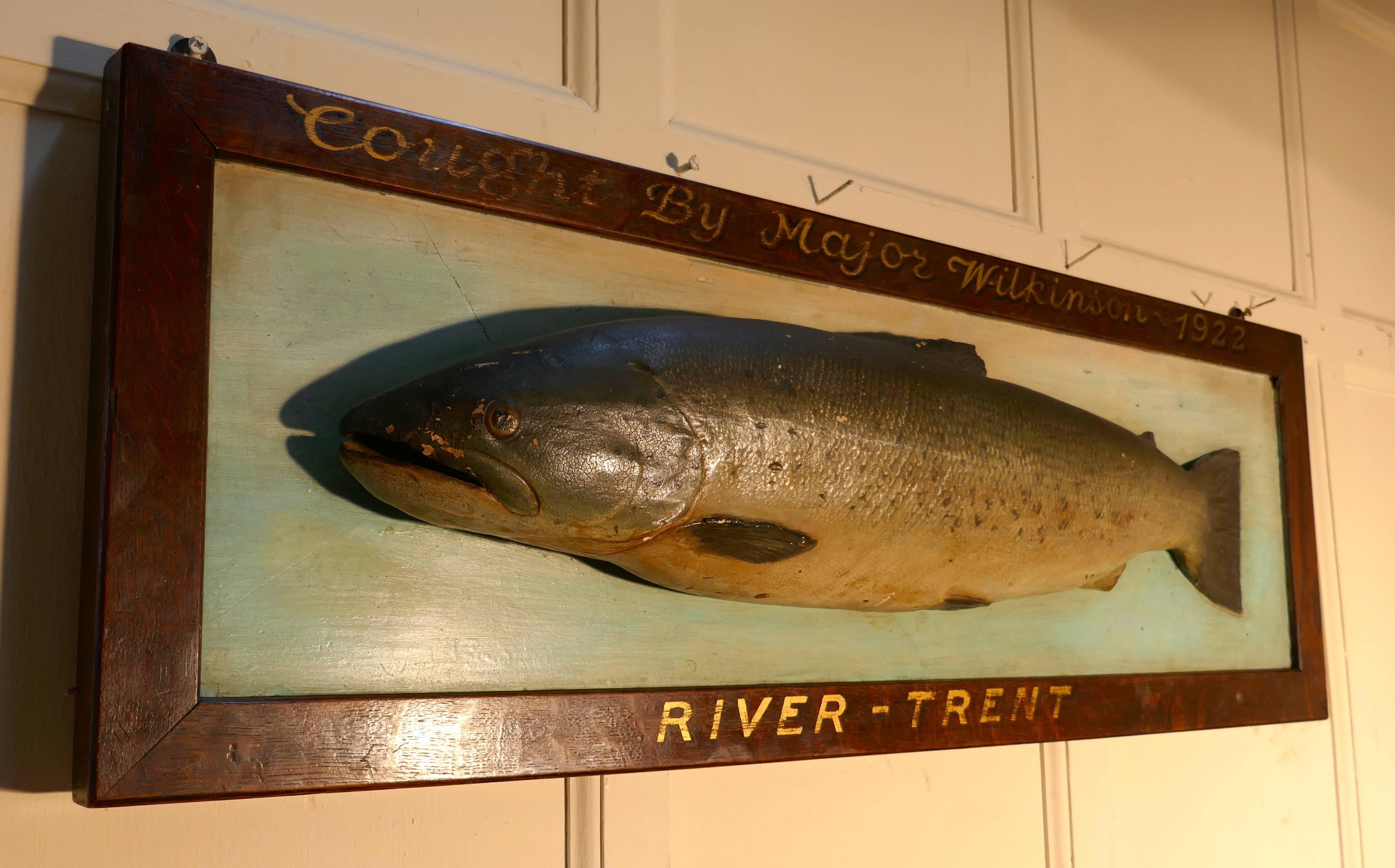 mounted trout