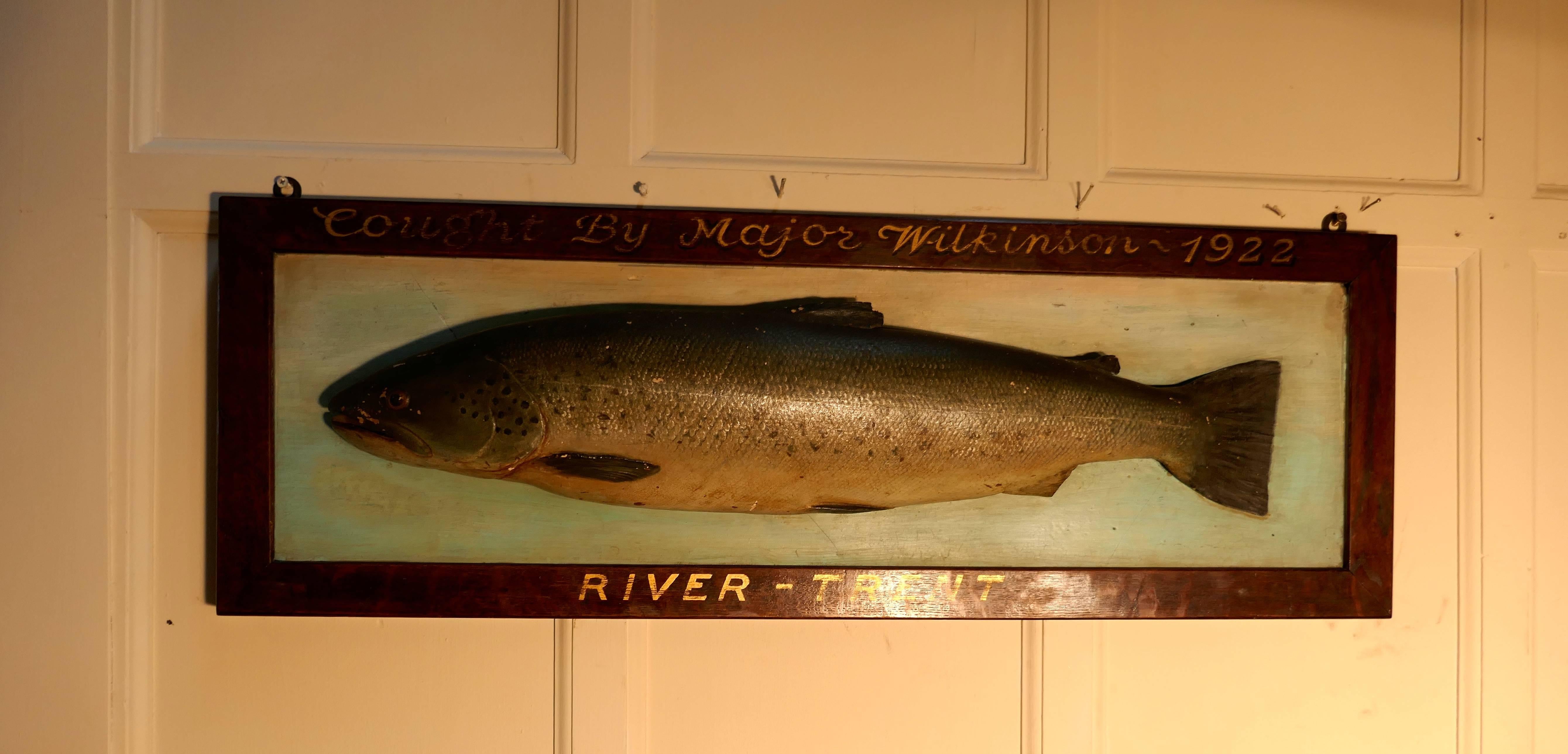 taxidermy trout for sale