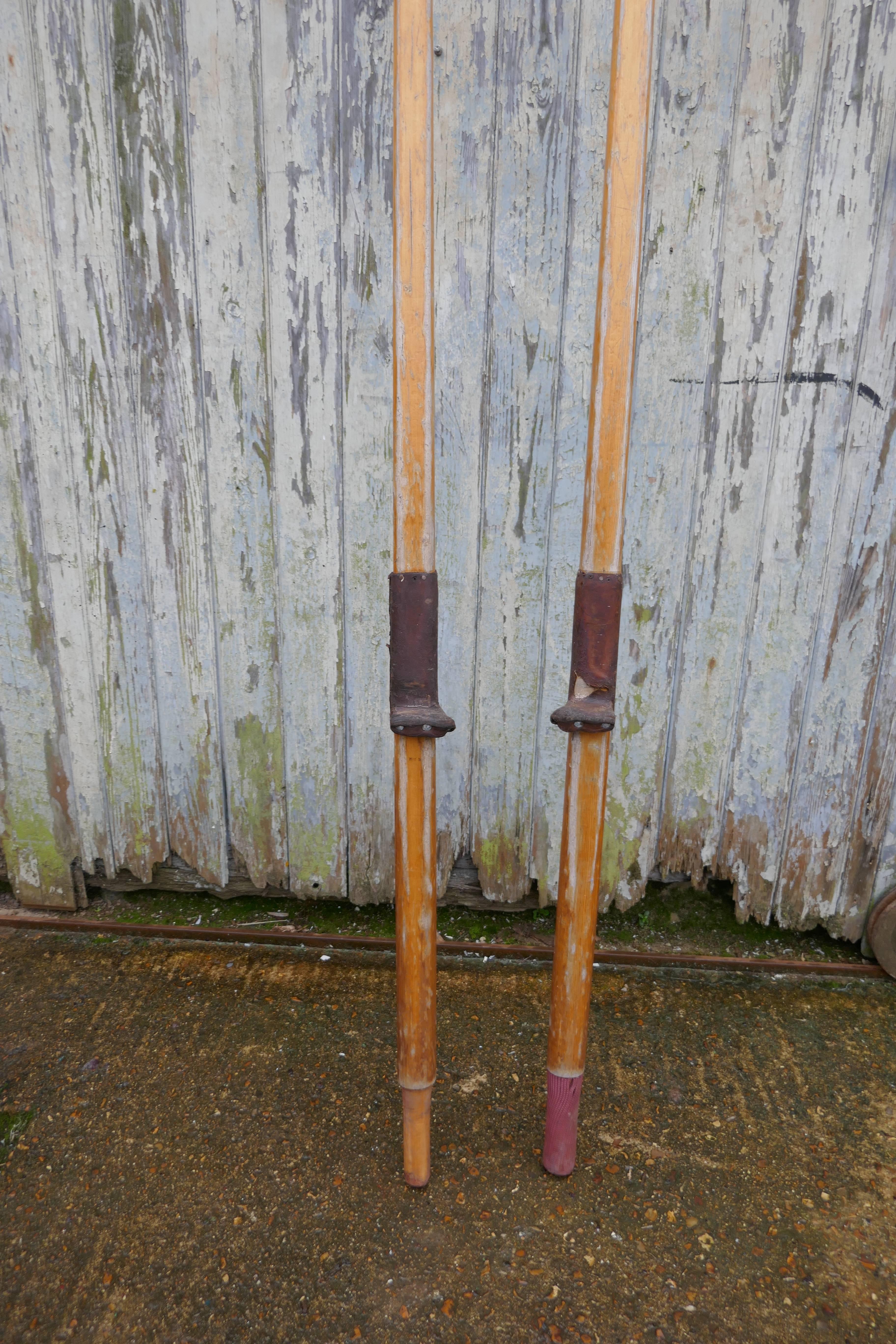 Rustic Pair of Decorative Very Long Sculling Oars