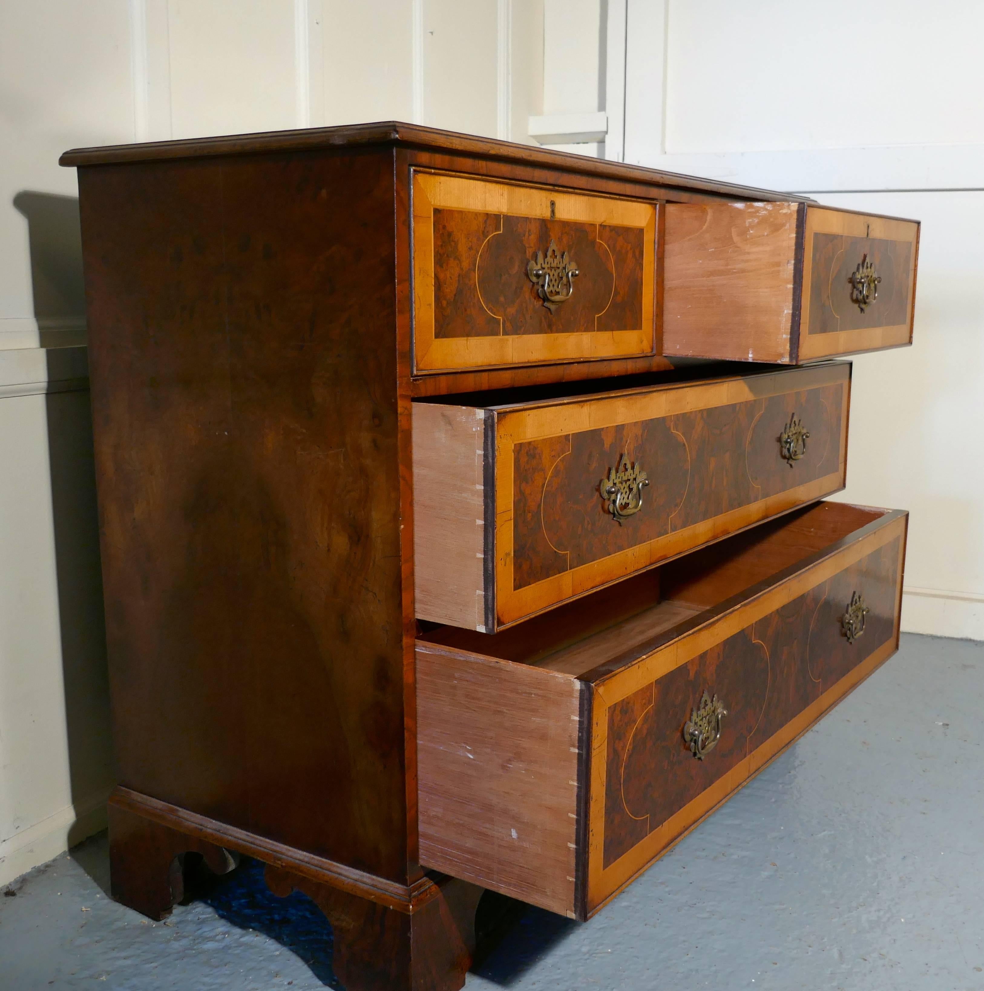 Early 19th Century Large Inlaid Walnut and Satinwood Chest of Drawers 2