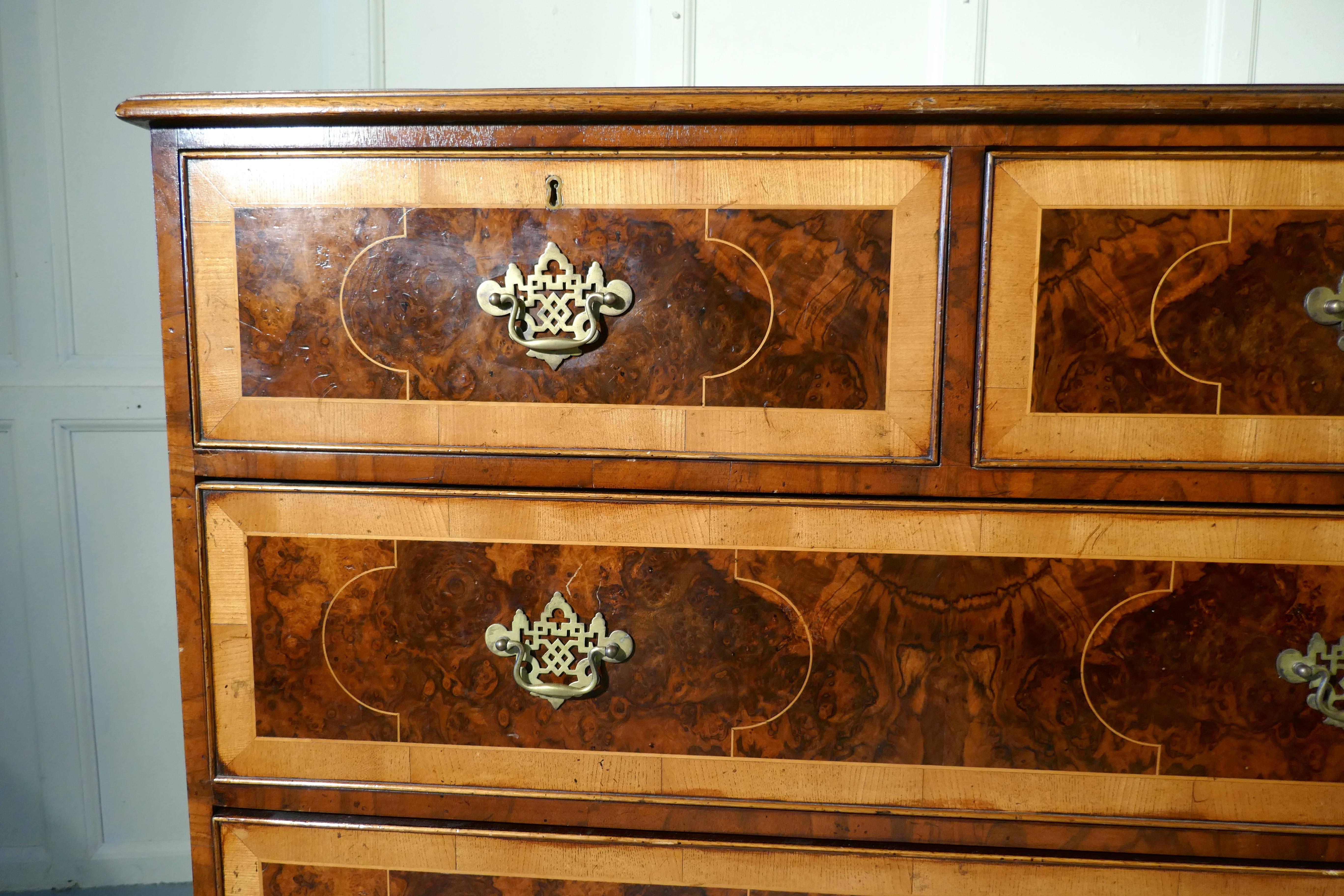 Early 19th Century Large Inlaid Walnut and Satinwood Chest of Drawers 5