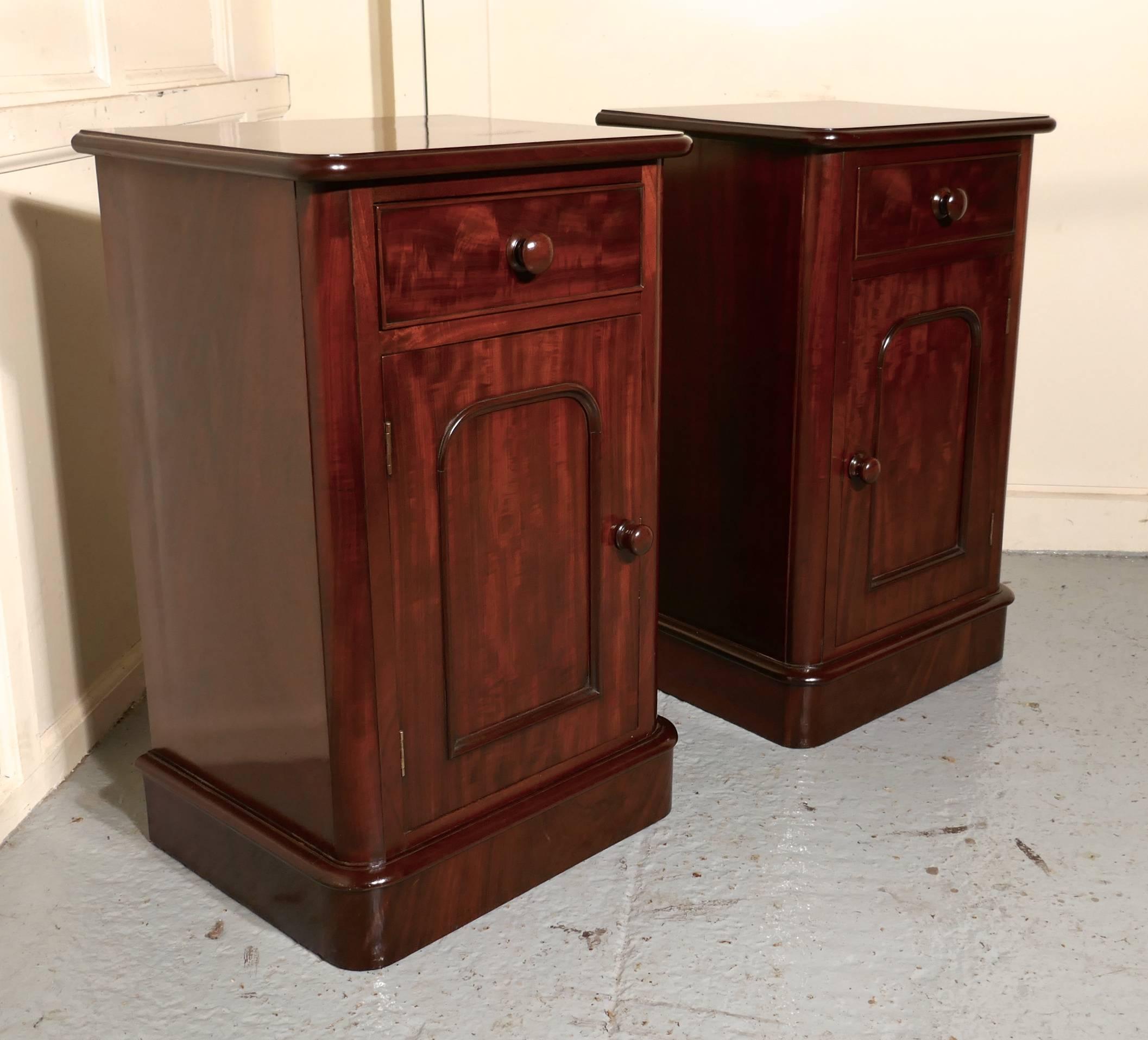Pair of Victorian Mahogany Bedside Cupboards 2