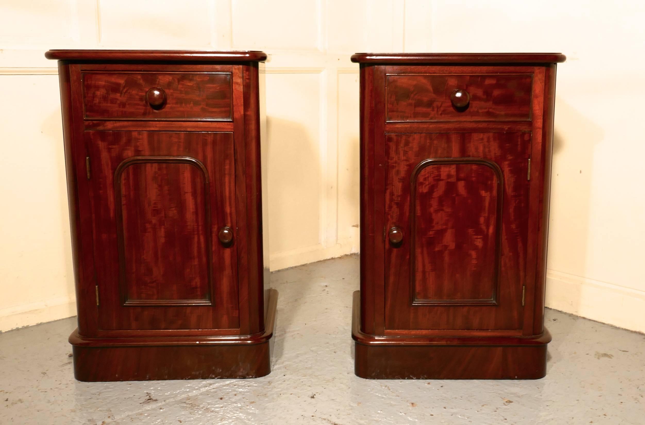 Pair of Victorian Mahogany Bedside Cupboards 3
