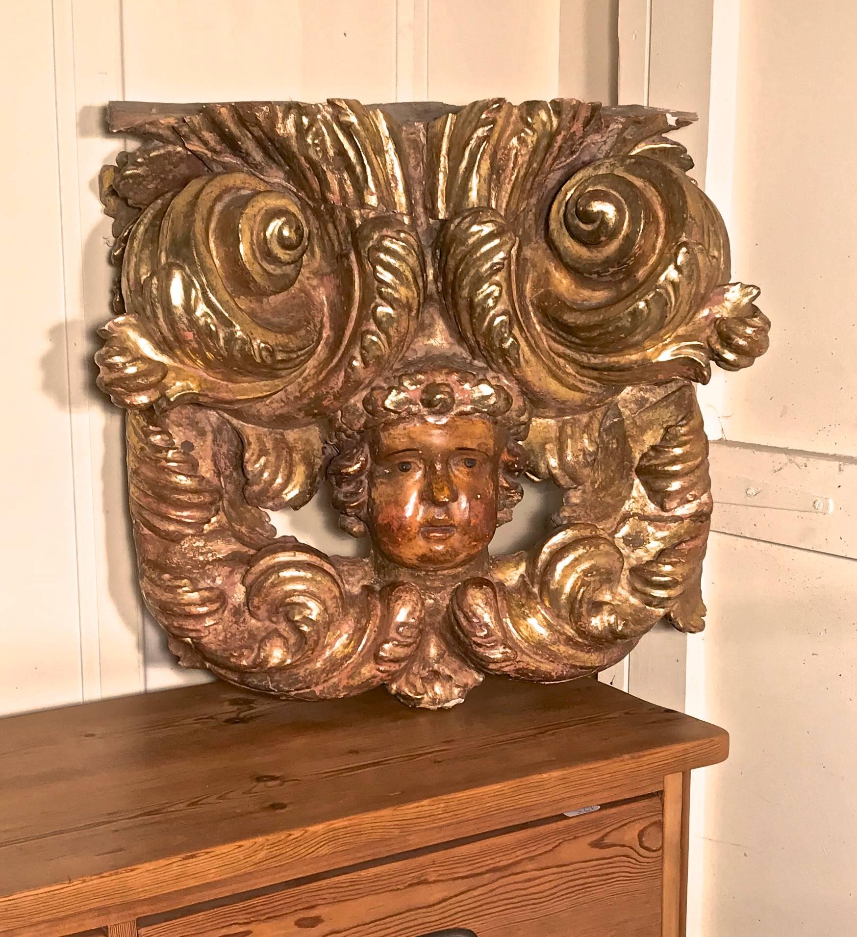 Énorme tête de chérubin baroque italienne sculptée Putti   en vente 1