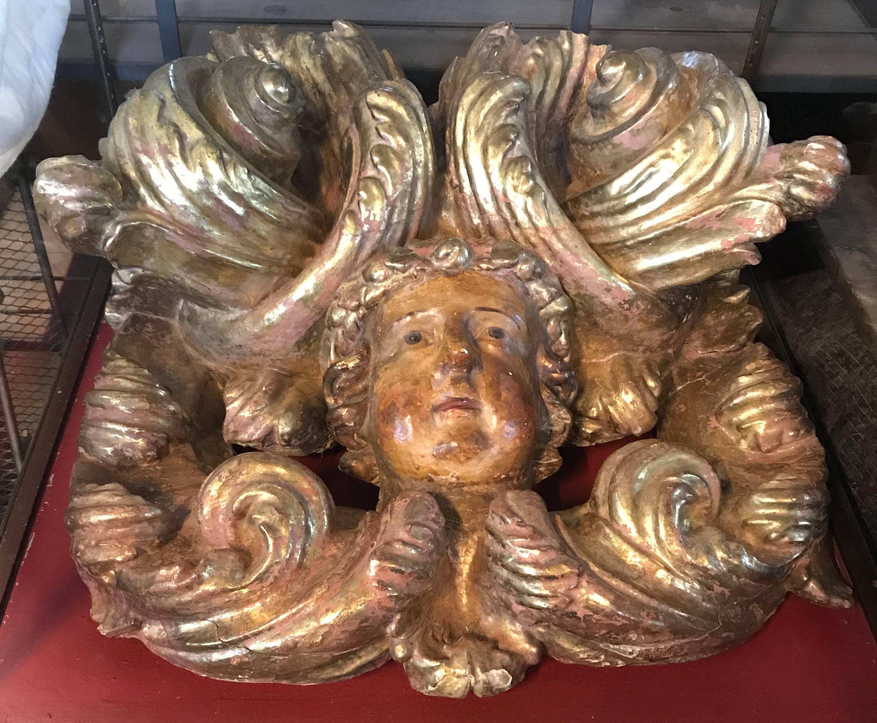 Putti baroque italien à tête de chérubin ailée, sculpté et peint en polychromie

Il s'agit d'un masque mural sculpté et peint en polychromie en forme d'angelot posé au milieu de ses magnifiques ailes en volutes, qui sont dorées 
Il s'agit d'une