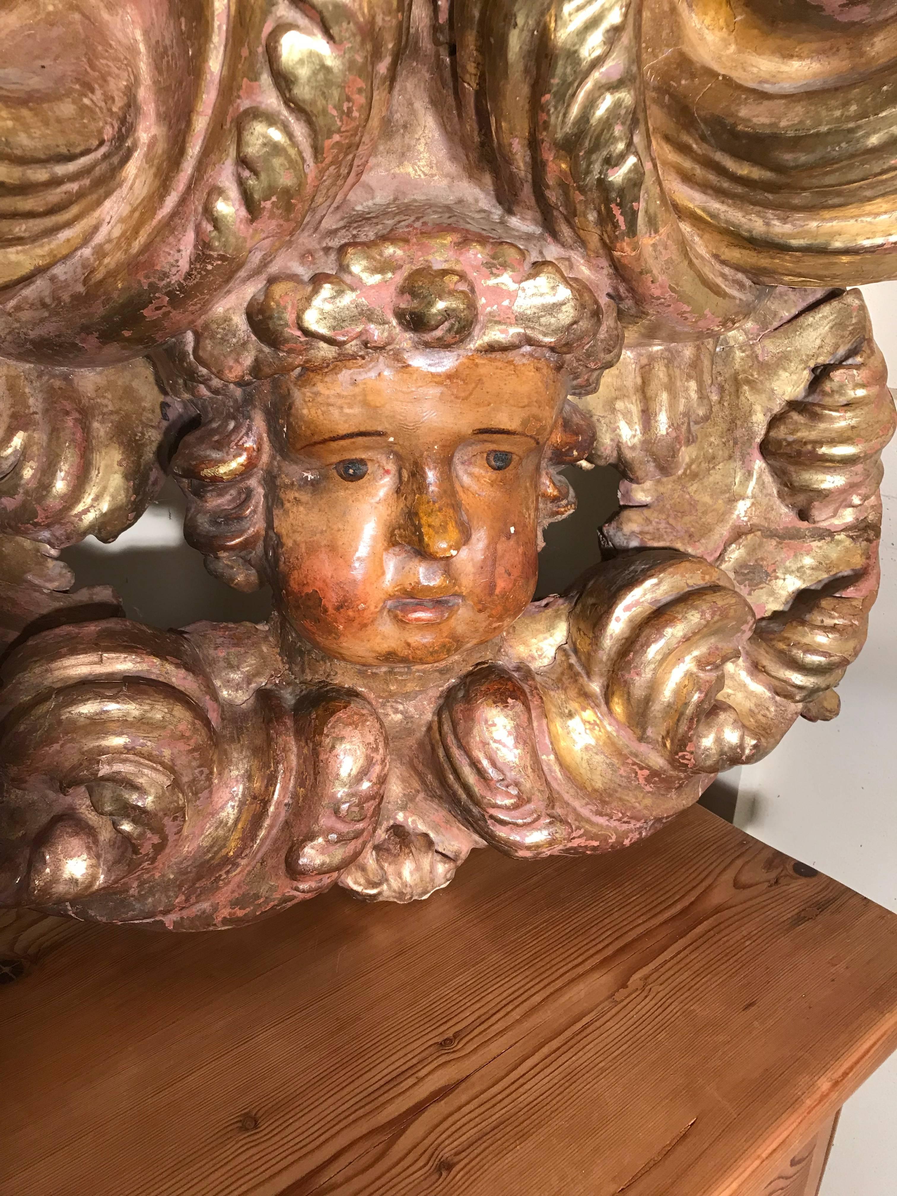 XVIIIe siècle Énorme tête de chérubin baroque italienne sculptée Putti   en vente