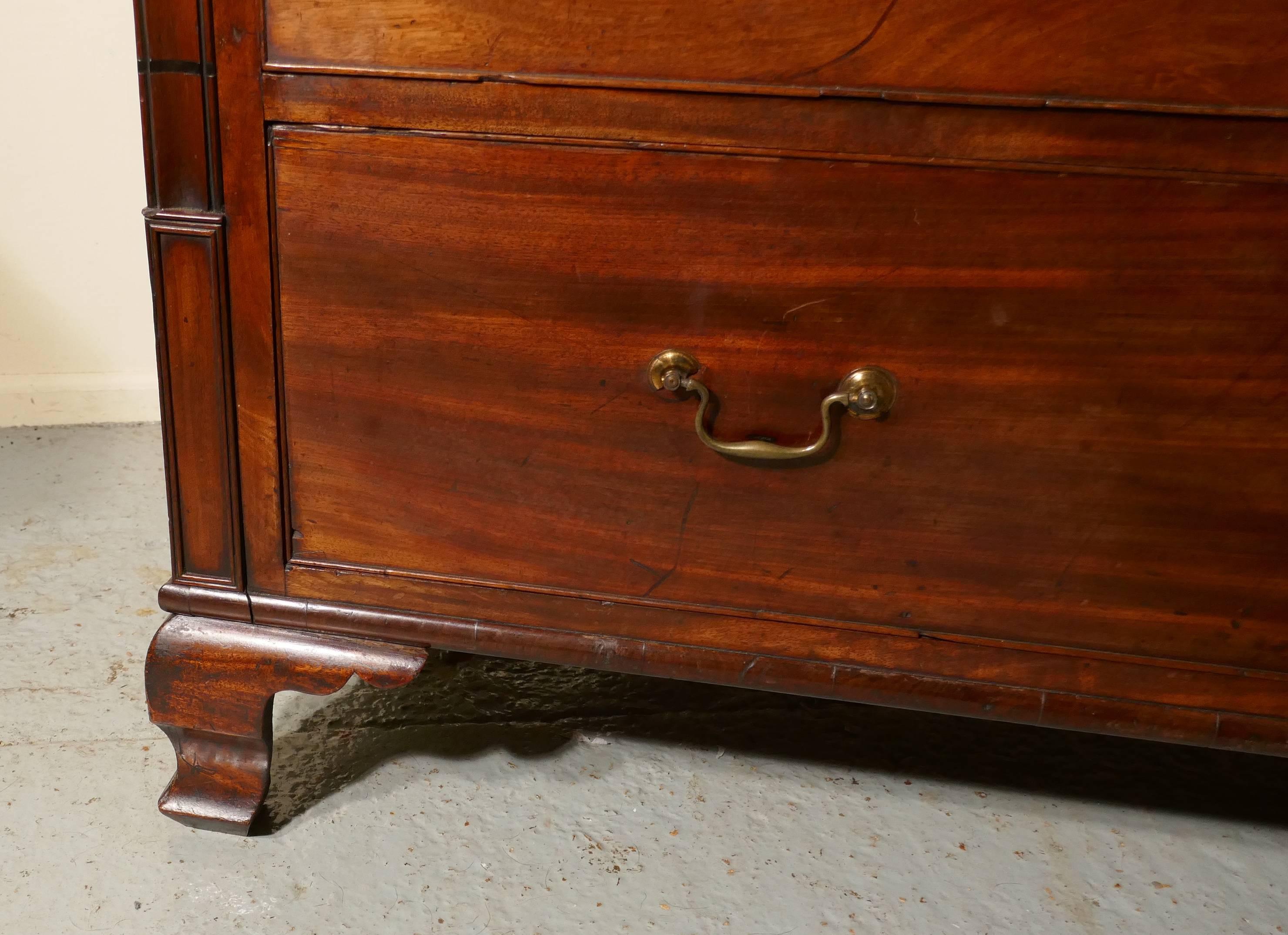 Large William IV  Flame Mahogany Chest of Drawers In Good Condition In Chillerton, Isle of Wight