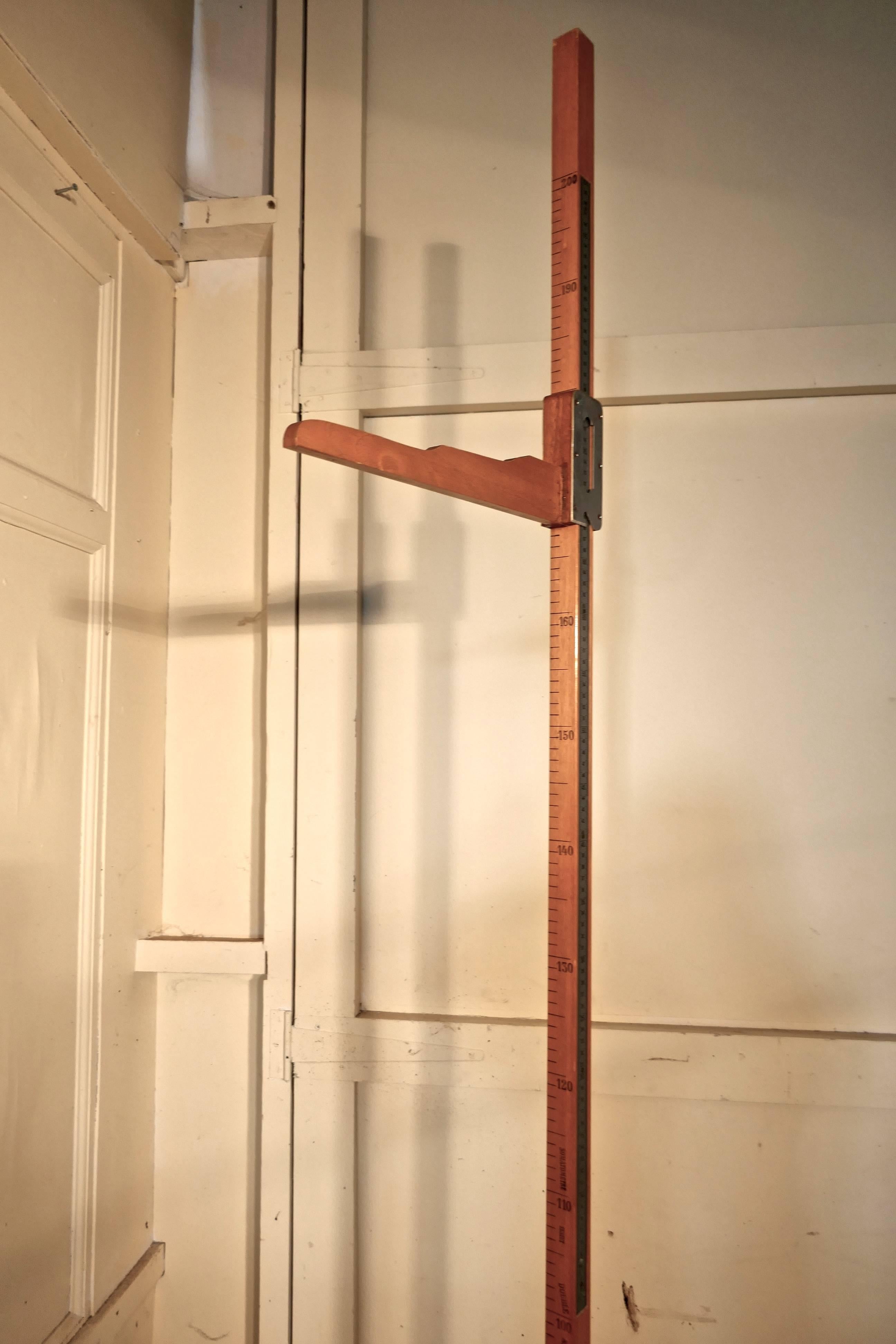 Mid-Century Modern Support de mesure de hauteur pour pharmacie, support de mesure de bâton ou de somastomètre de pin pour pichet en vente
