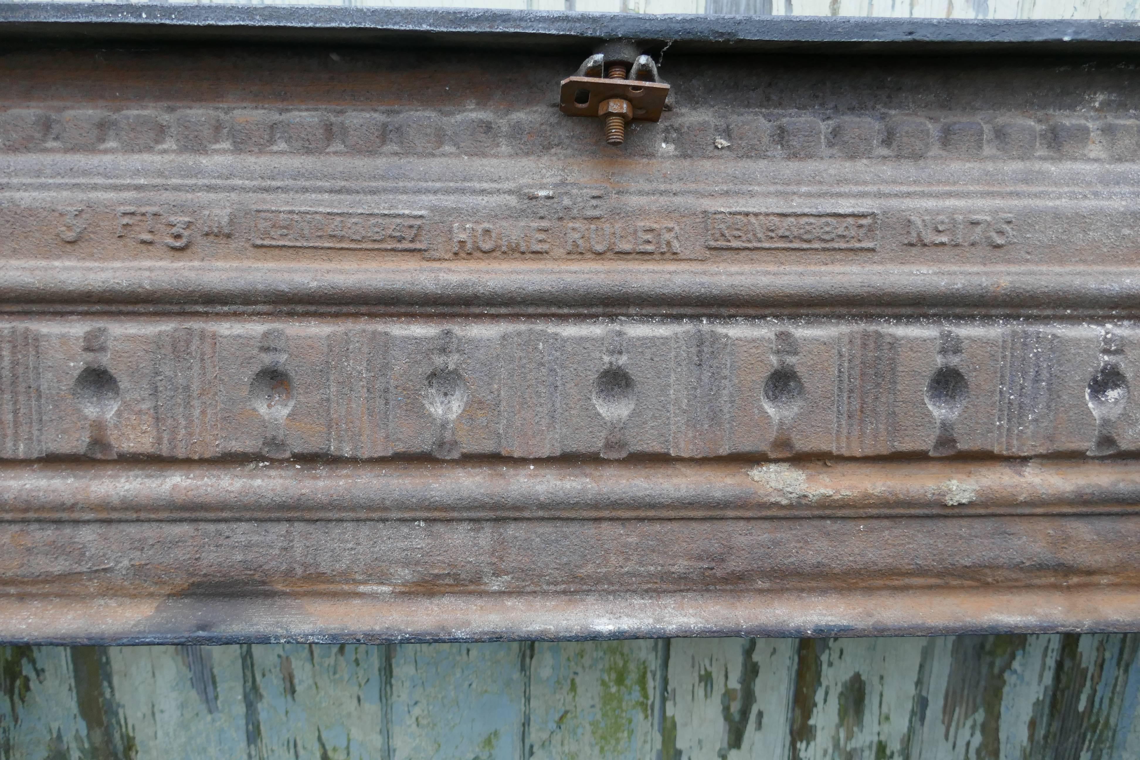 Large 19th Century Cast Iron Fire Place 3