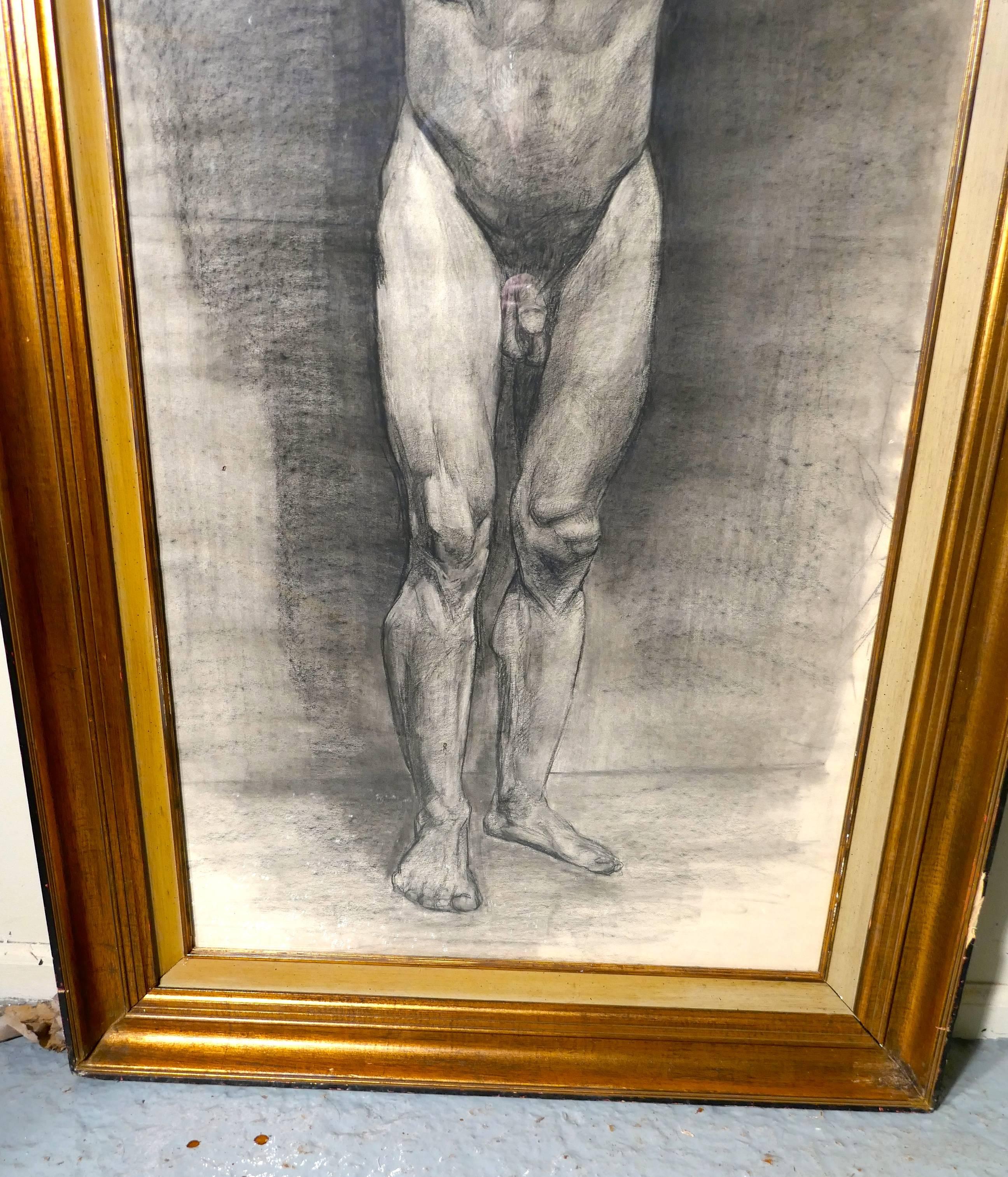 Nu masculin posant comme Atlas, une grande étude encadrée au fusain Bon état - En vente à Chillerton, Isle of Wight