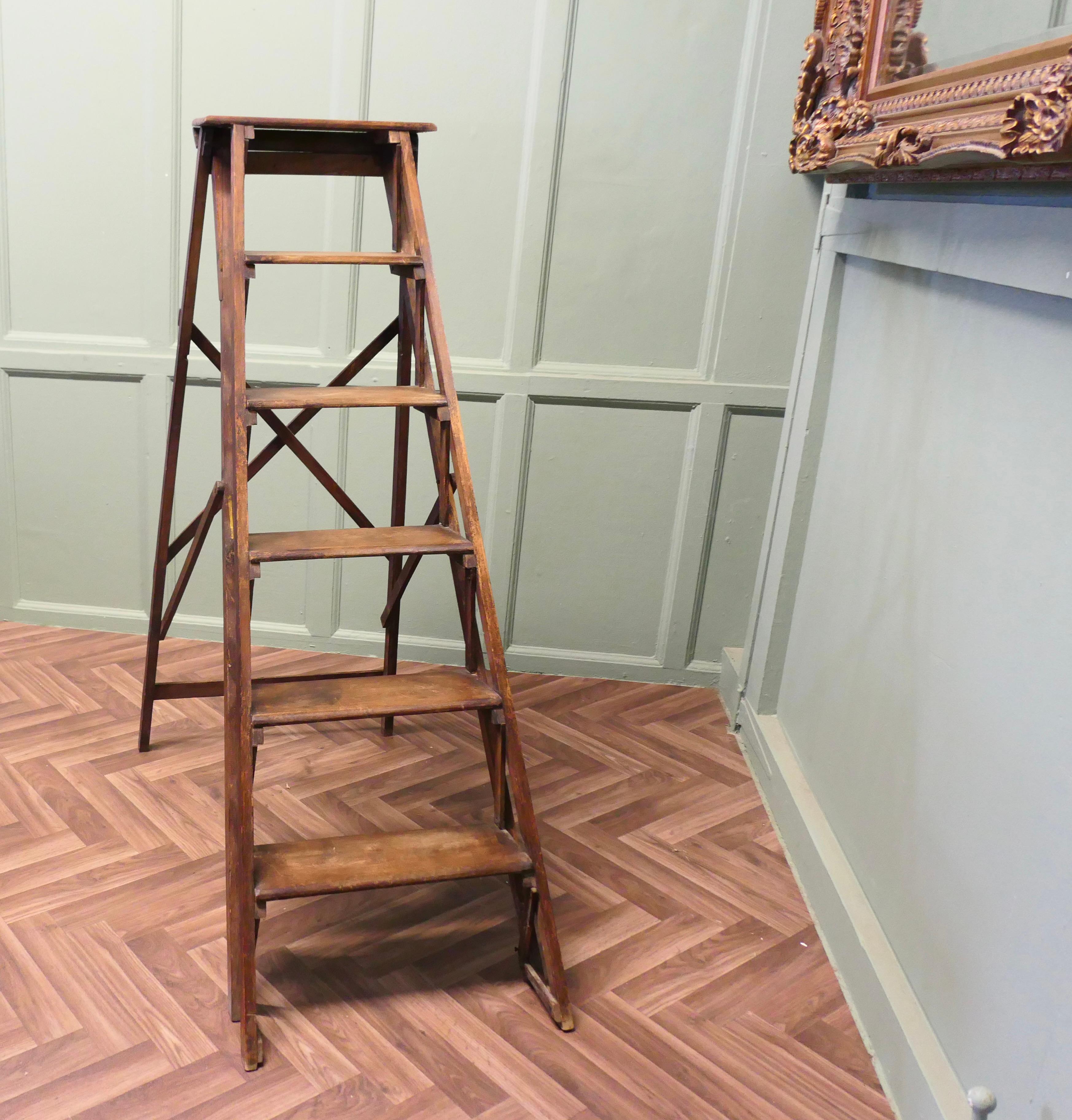Industrial Late 19th Century French Decorators Ladder  This is a beautifully designed piece For Sale