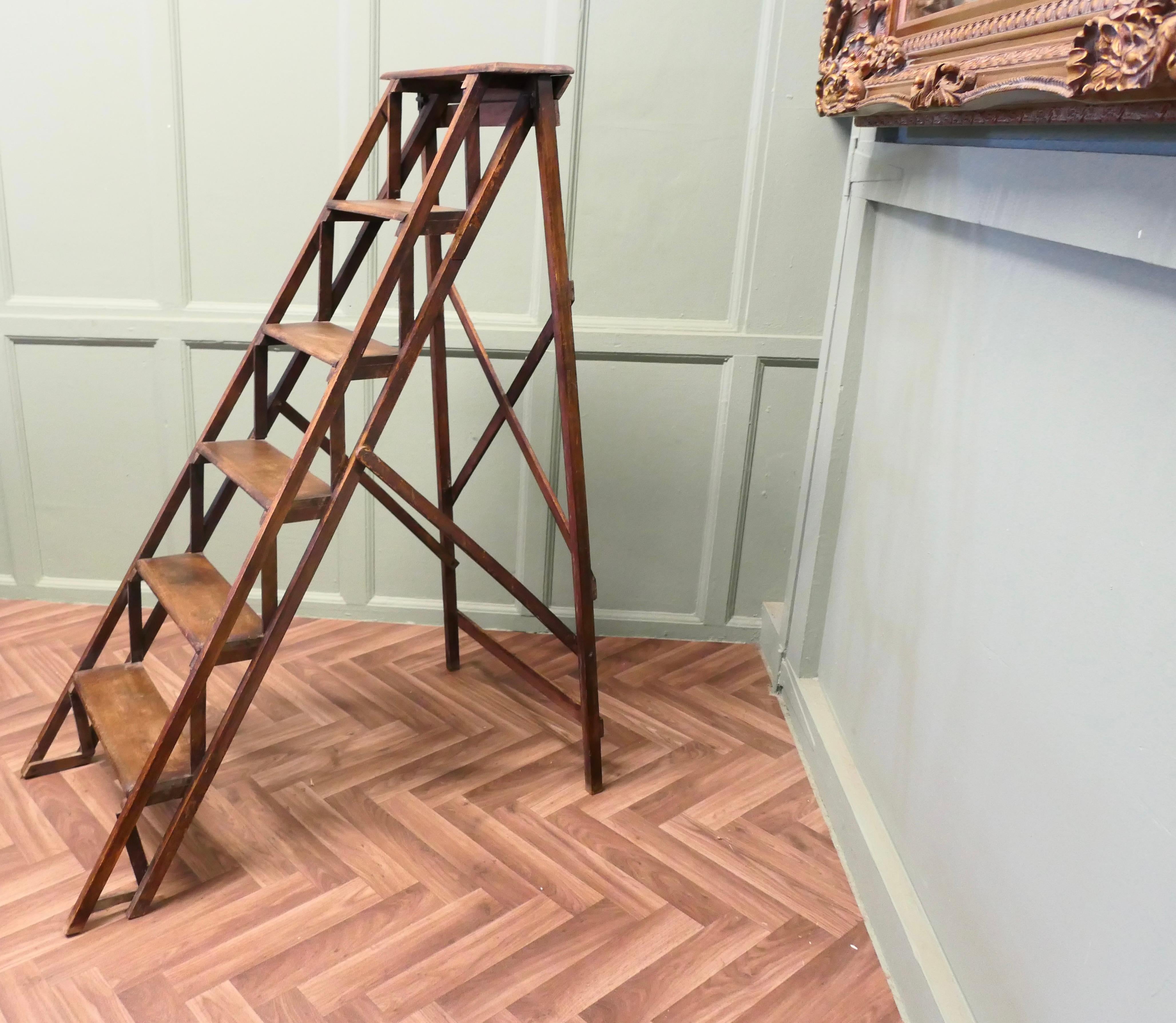 Late 19th Century French Decorators Ladder  This is a beautifully designed piece In Good Condition For Sale In Godshill, Isle of Wight