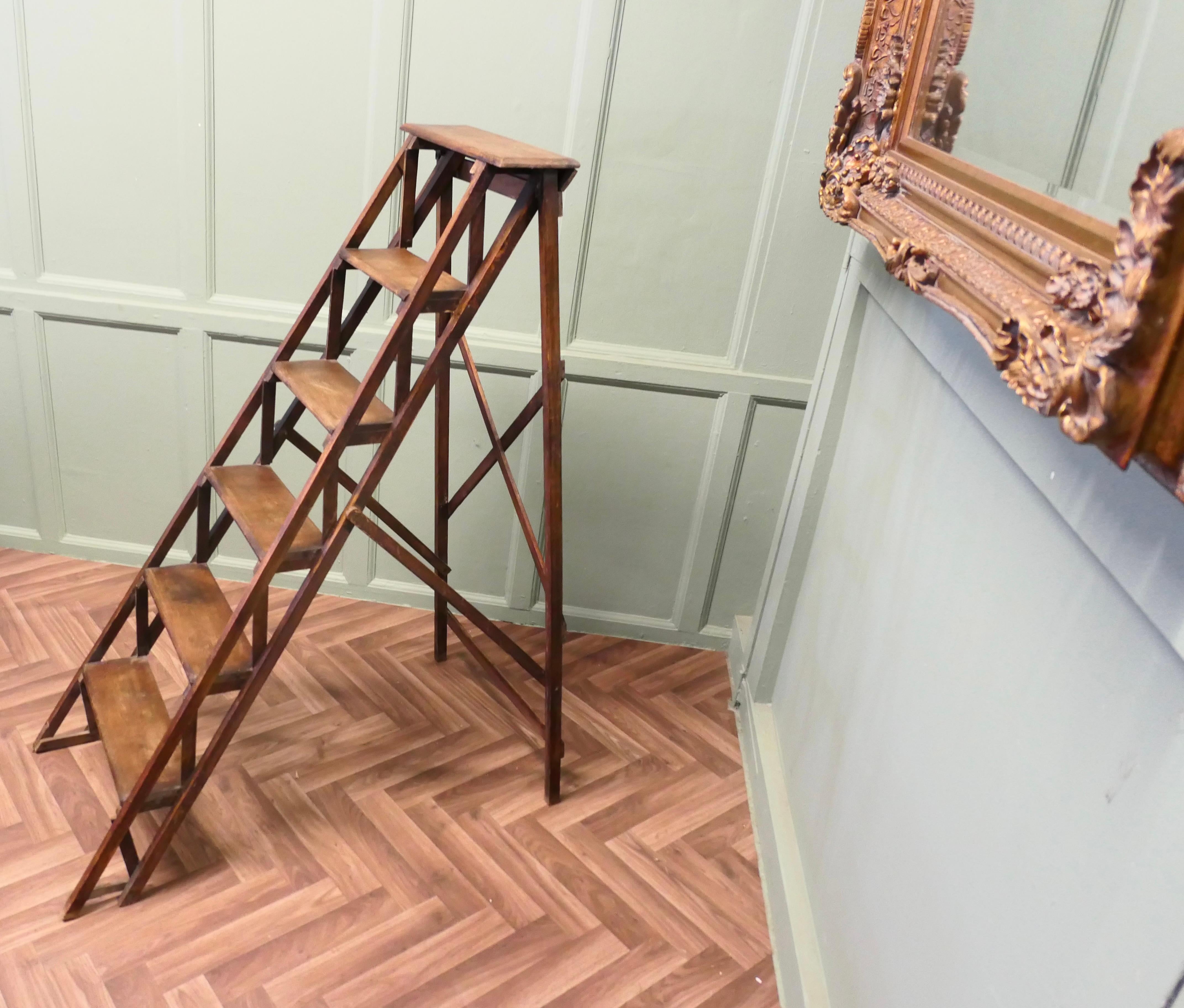 Early 20th Century Late 19th Century French Decorators Ladder  This is a beautifully designed piece For Sale