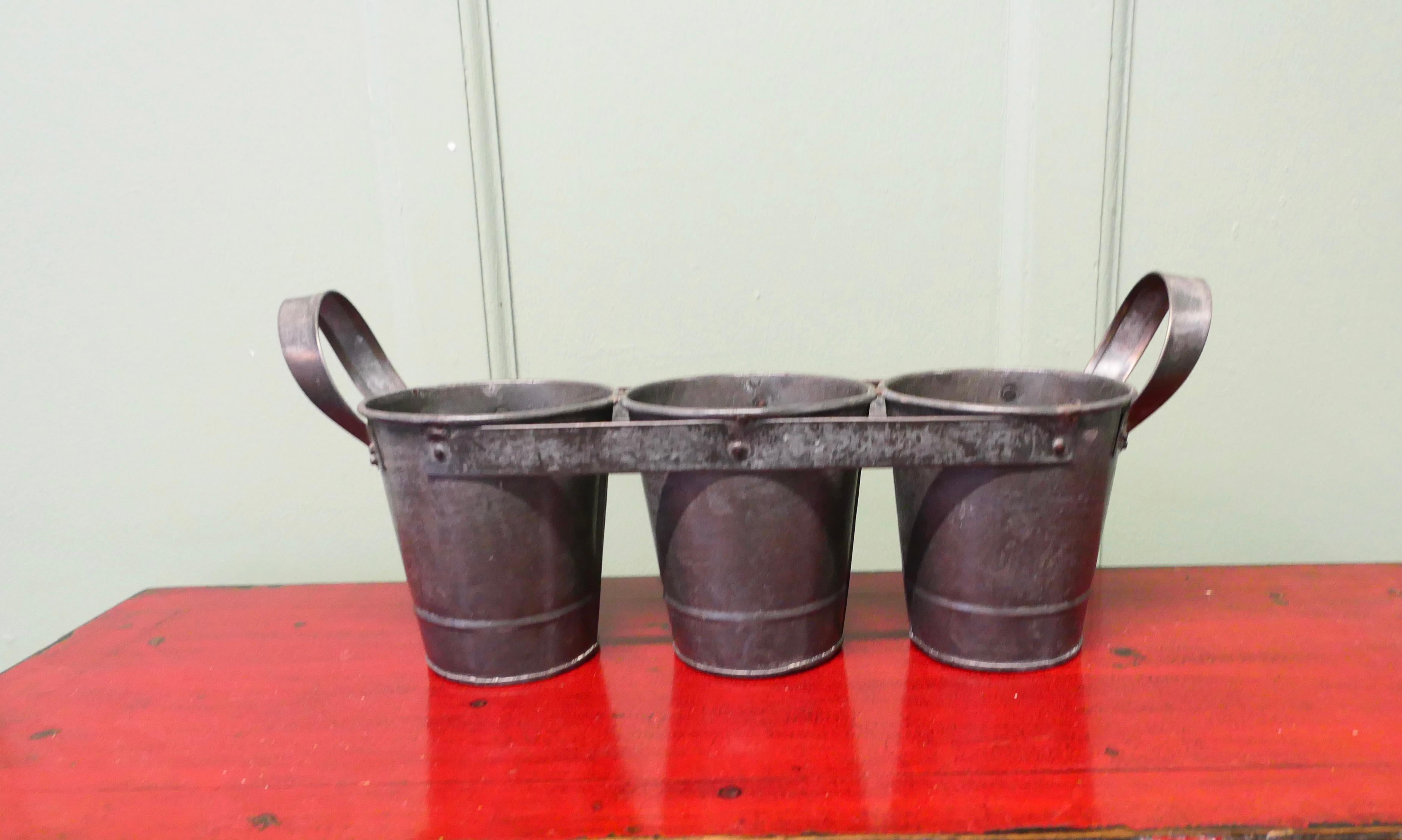 Secchiello per 3 vasi di fiori freschi recisi

Un piccolo grande pezzo, molto utile per esporre o raccogliere fiori freschi per la tavola
Il vaso ha 3 contenitori separati con un manico ad ogni estremità, è realizzato in robusto metallo zincato,