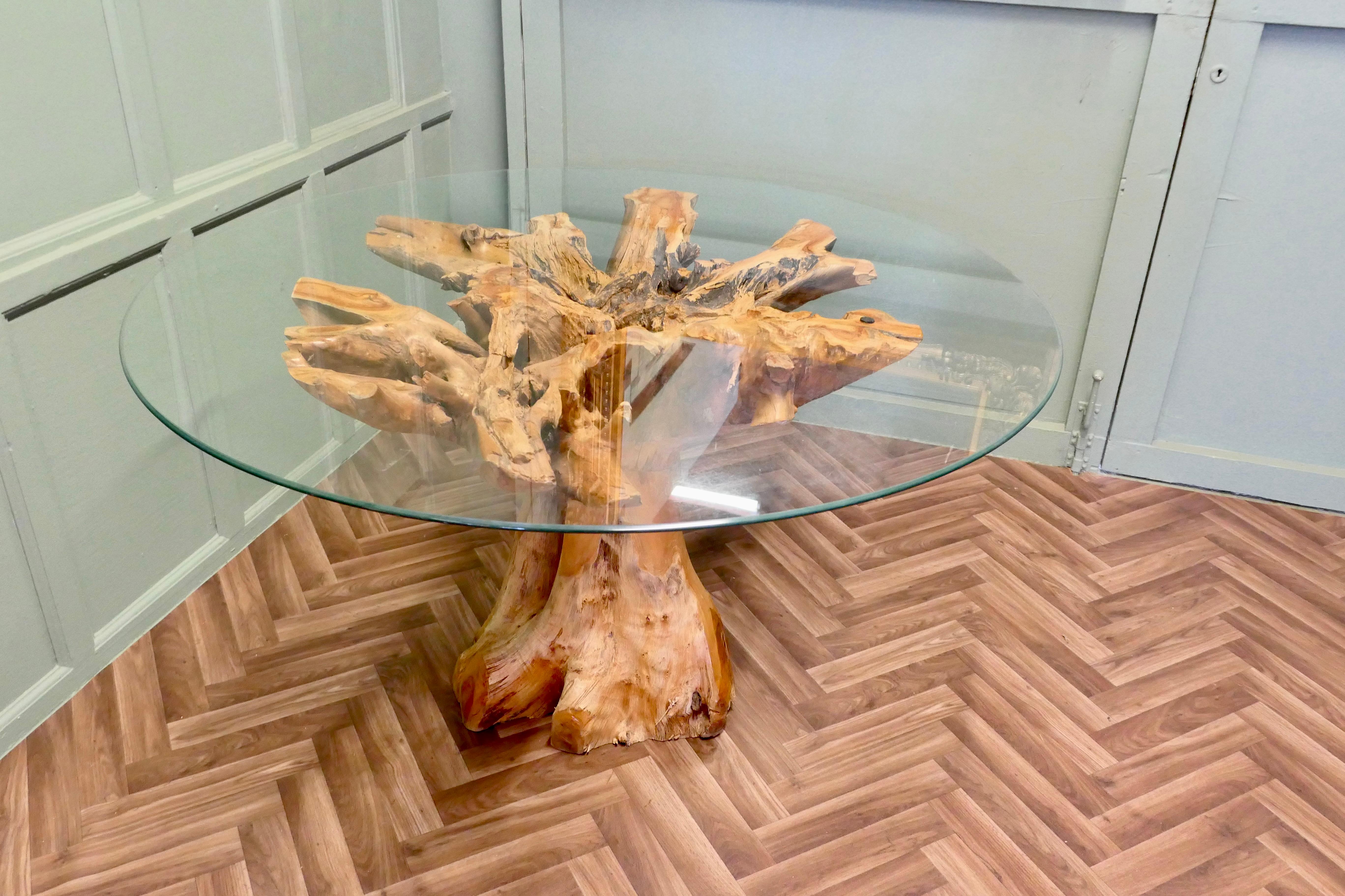 Late 20th Century Yewwood Root Tree Dining Table With Round Glass Top For Sale