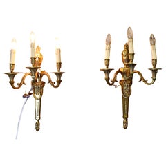 Antique A Large Fine Quality Pair of French Neo Classical Brass Wall Lights