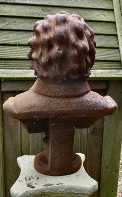 Buste en fonte patinée représentant Ludwig van Beethoven. Une très jolie pièce pour le jardin.