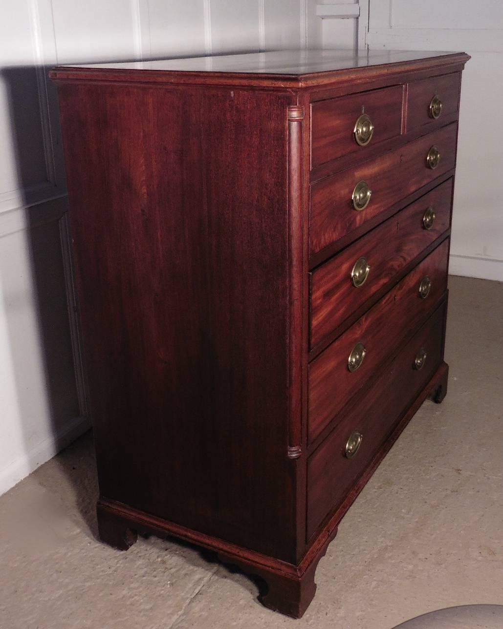 English Large Georgian Mahogany Chest of Drawers with Brass Oval Plate Handles