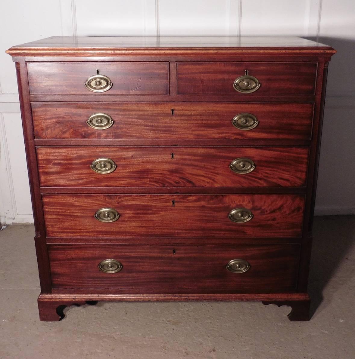 Veneer Large Georgian Mahogany Chest of Drawers with Brass Oval Plate Handles