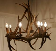 Very Large 19th Century Black Forrest Stag Antler Hanging Chandelier