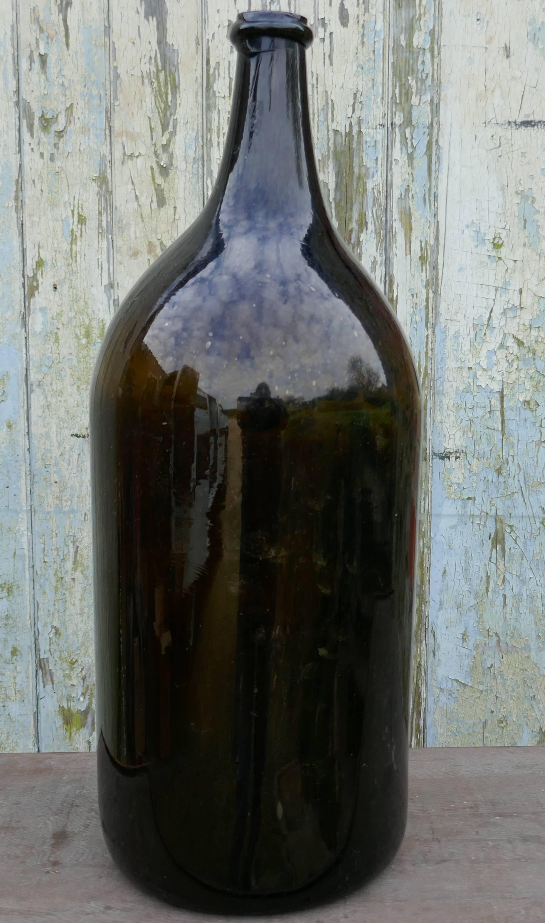 Paint Giant 19th Century Italian Olive Oil Bottle with Gold Number and Lable