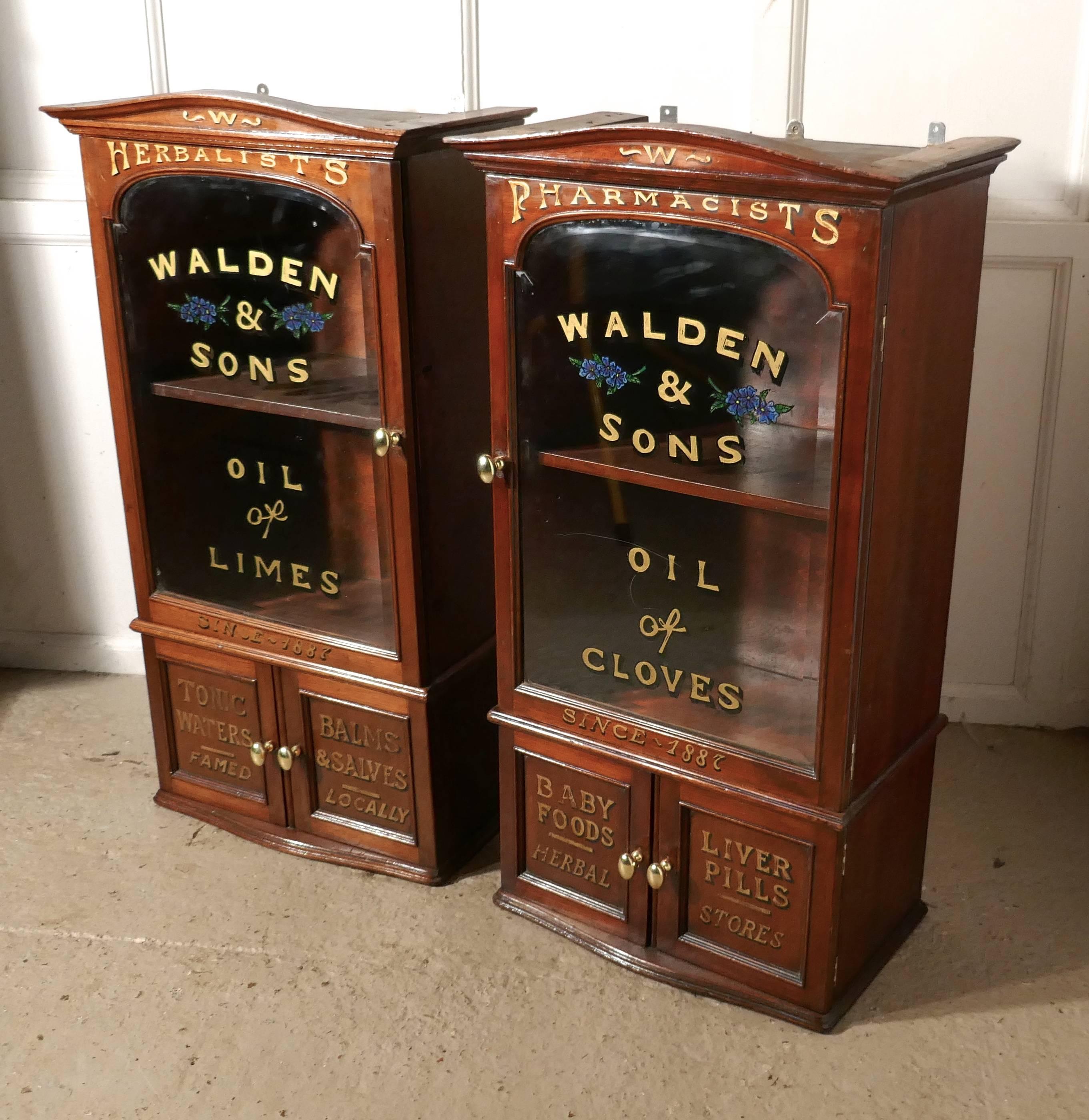 Cold-Painted Pair of Victorian Mahogany Sign Painted Chemist’s or Bathroom Cupboards 