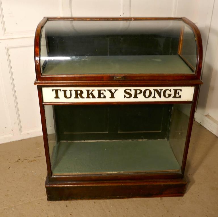 Turkey Sponge Chemist Shop Display Cabinet In Good Condition For Sale In Chillerton, Isle of Wight