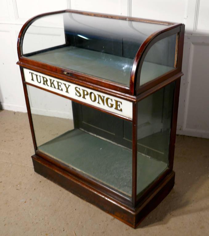 English Turkey Sponge Chemist Shop Display Cabinet For Sale