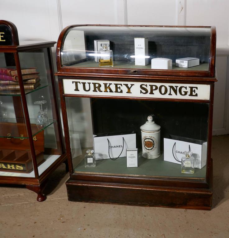 20th Century Turkey Sponge Chemist Shop Display Cabinet For Sale