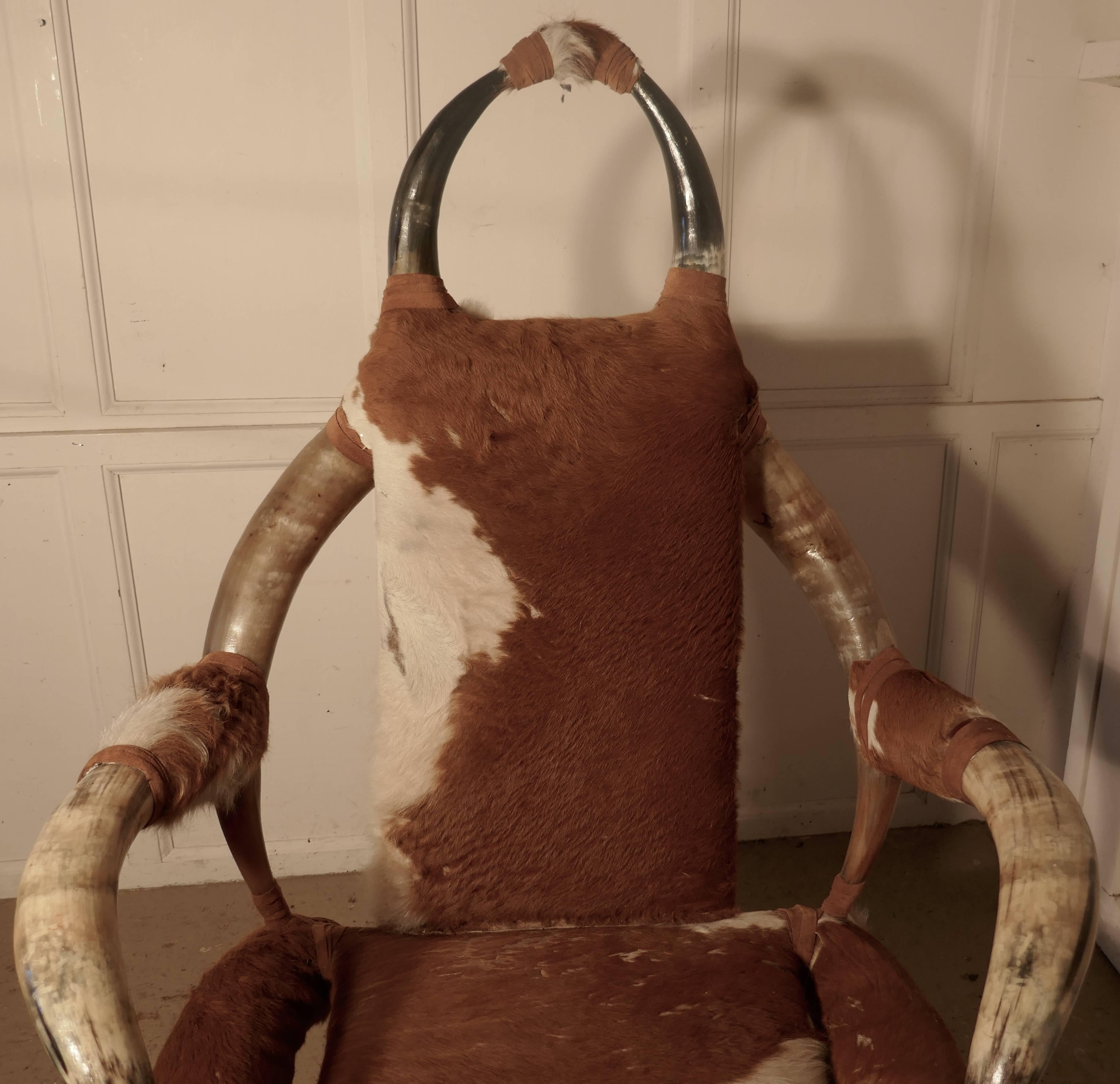 Organic Modern 19th Century Large Bull or Cow Horn Armchair