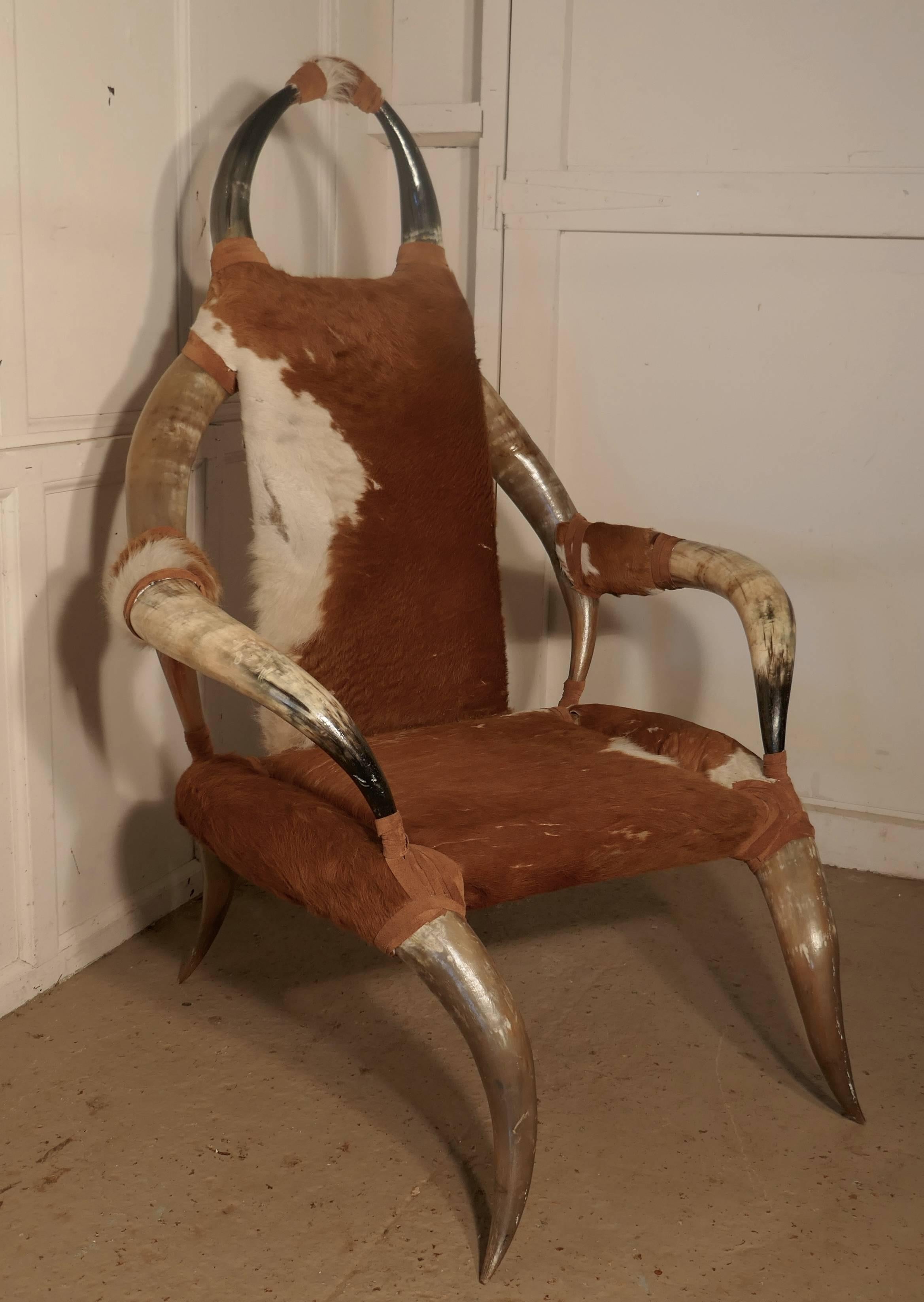 Austrian 19th Century Large Bull or Cow Horn Armchair