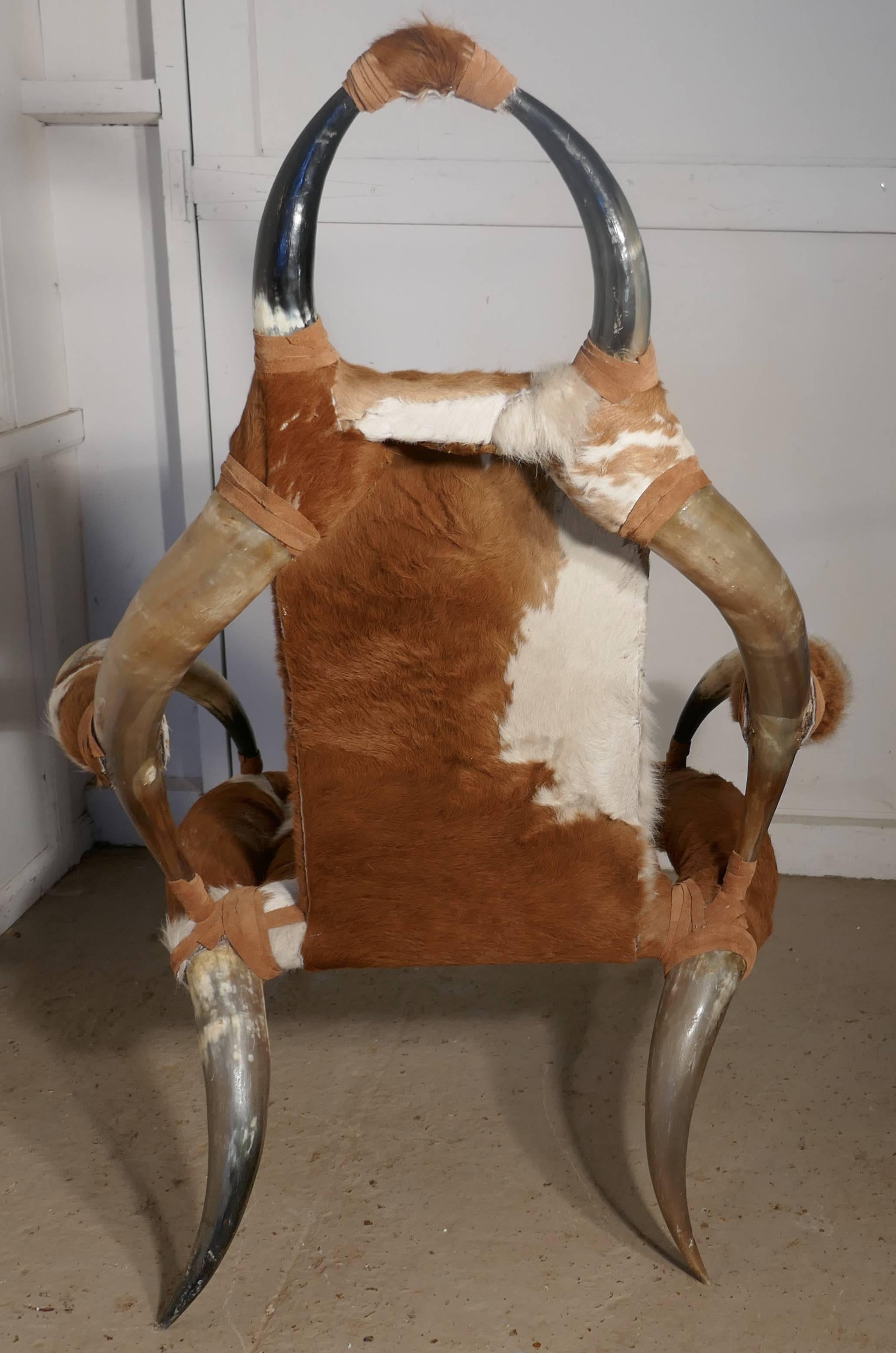 19th Century Large Bull or Cow Horn Armchair 1