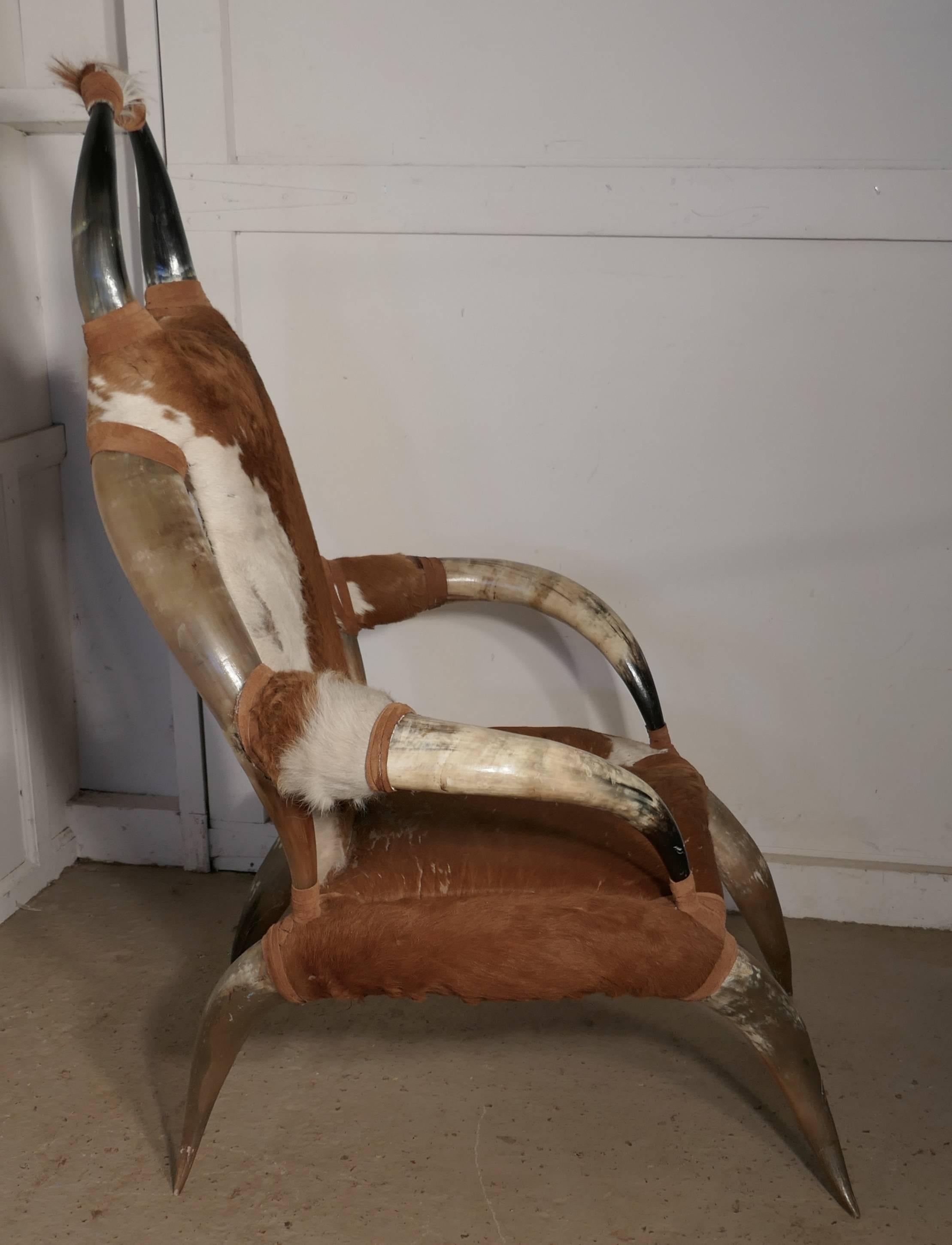 19th Century Large Bull or Cow Horn Armchair 2