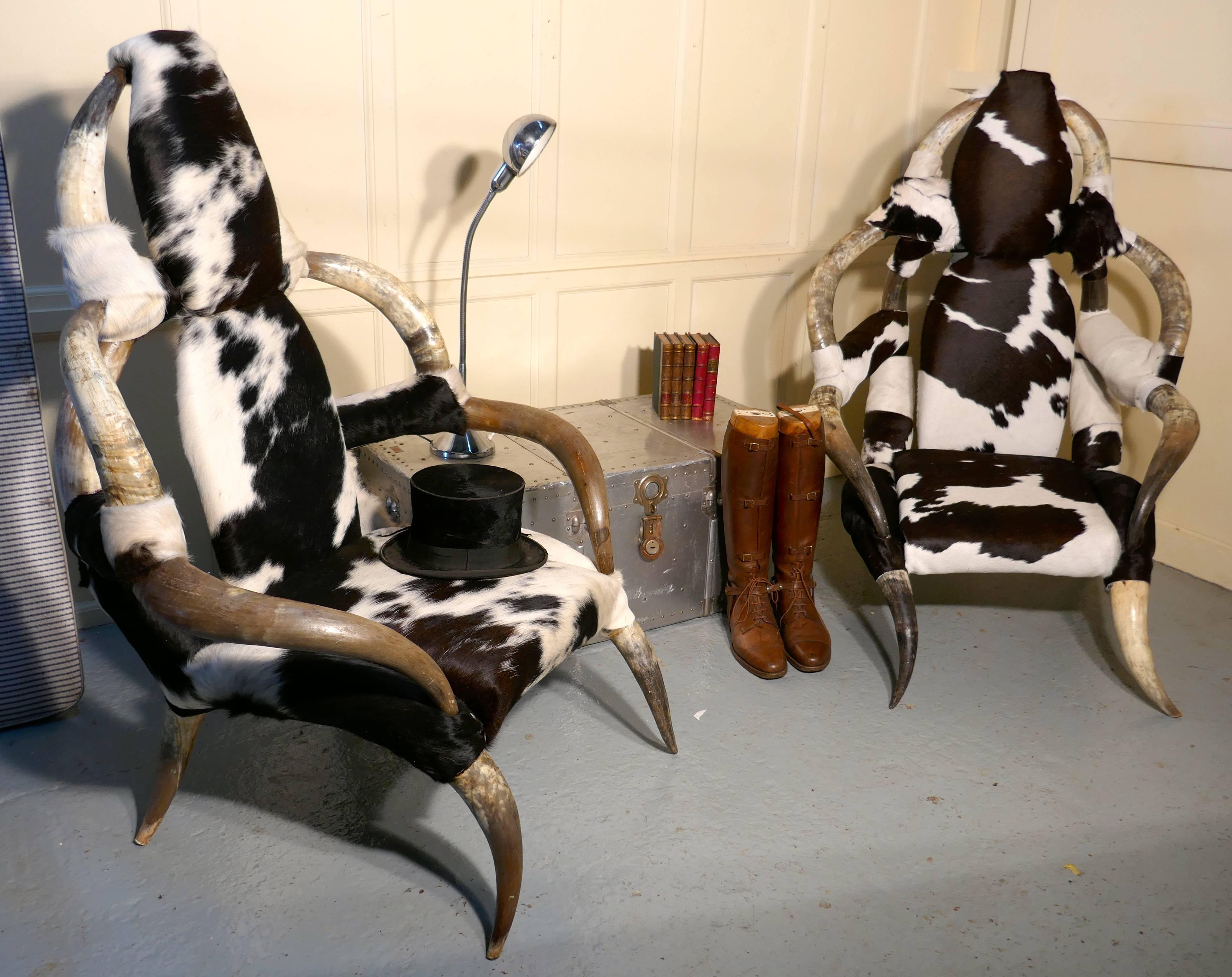 Fantastic pair of large bull or cow horn and hide armchairs

This is a magnificent pair of black and white high back cow horn chairs, each chair is made from ten very large bull horns, they are covered in black and white cow hide, the chairs are