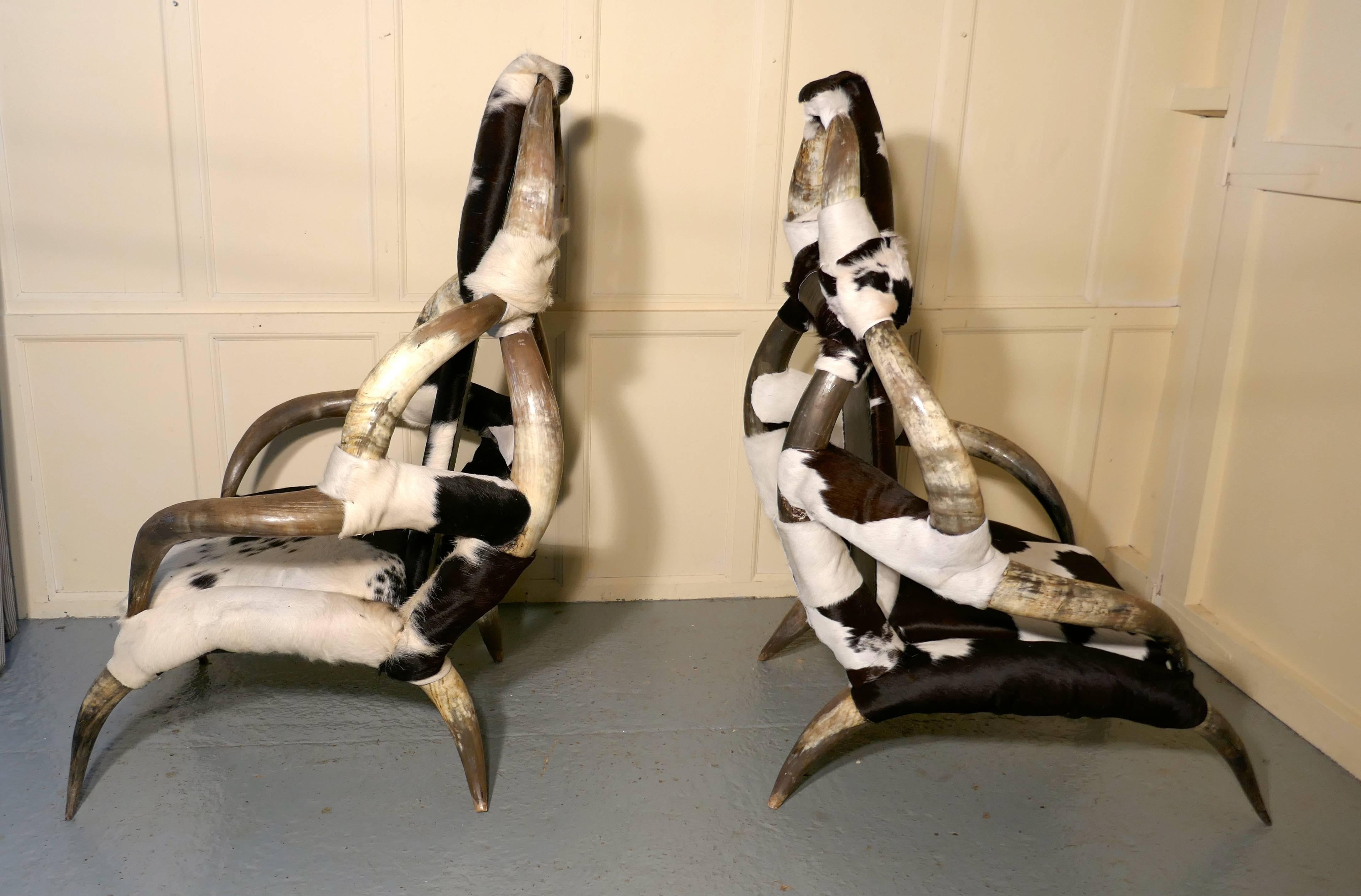 20th Century Fantastic Pair of Large Bull or Cow Horn and Hide Armchairs