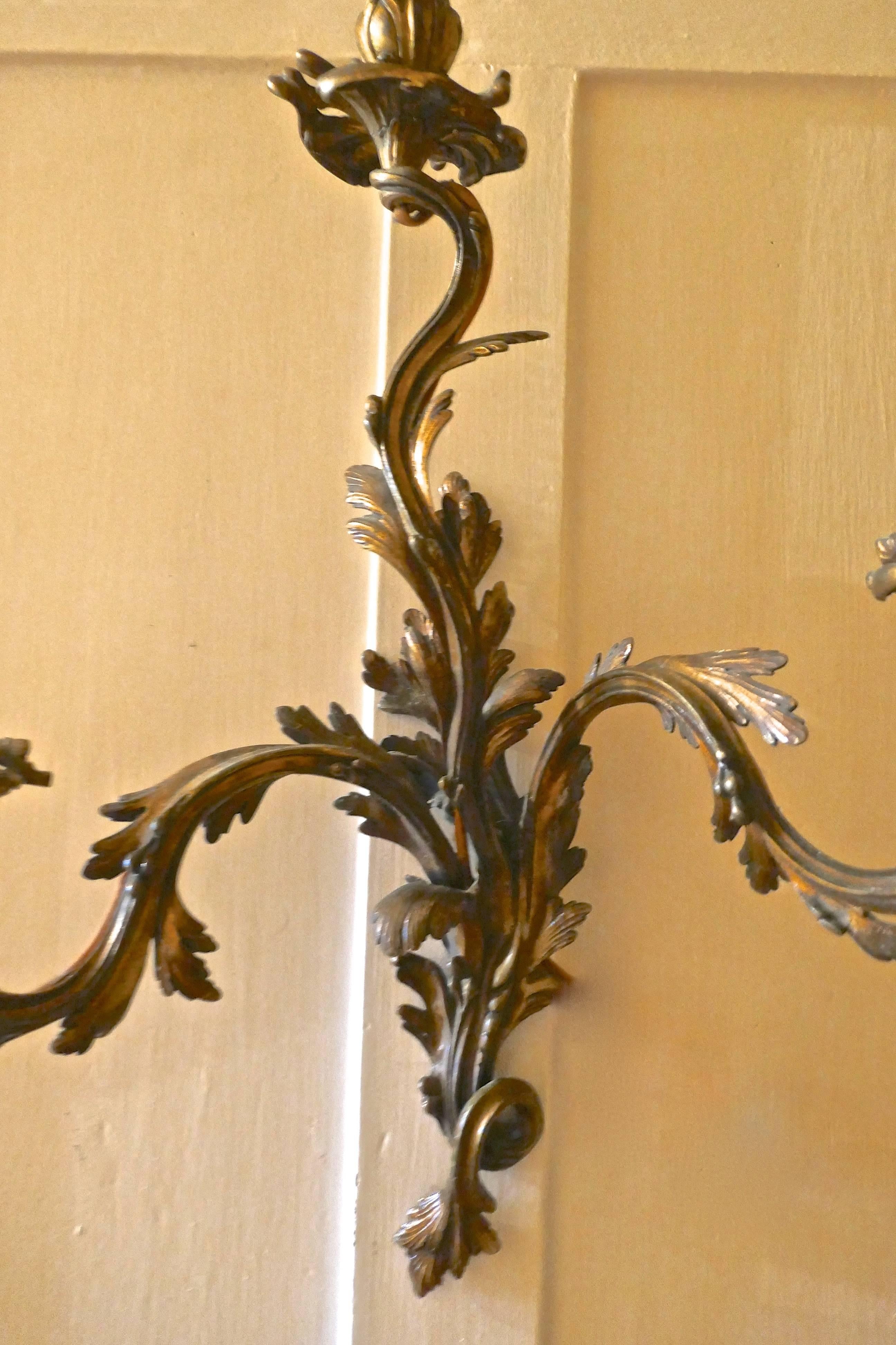 Set of Five Large Gilded Bronze Triple French Wall Sconces 3