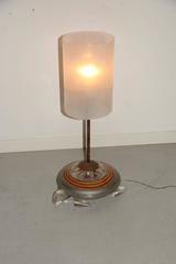 Sculpture Very Particular Table Lamp Shaped like a Turtle in Perspex, 1970