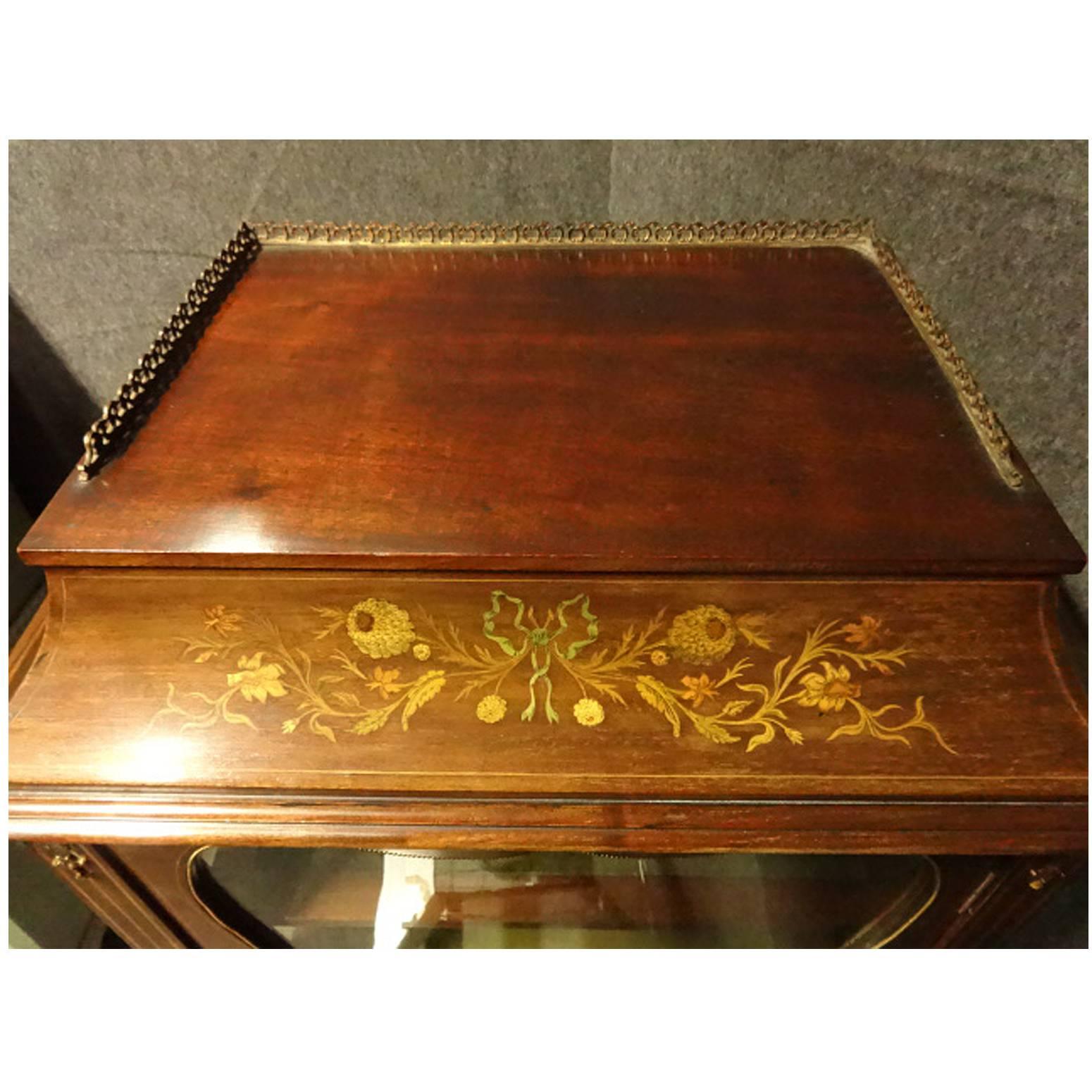 Victorian Marquetry and Mahogany Display Cabinet In Good Condition For Sale In Applyby Magna, Staffordshire