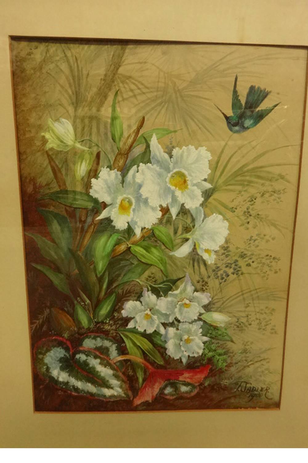 A good pair of Victorian watercolors of lilies signed 'T Sadler 1900'. In outstanding gilt frames.