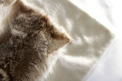 Shearling and Coyote Fur Rug