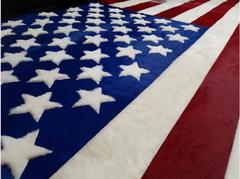 Hide Rug US Flag