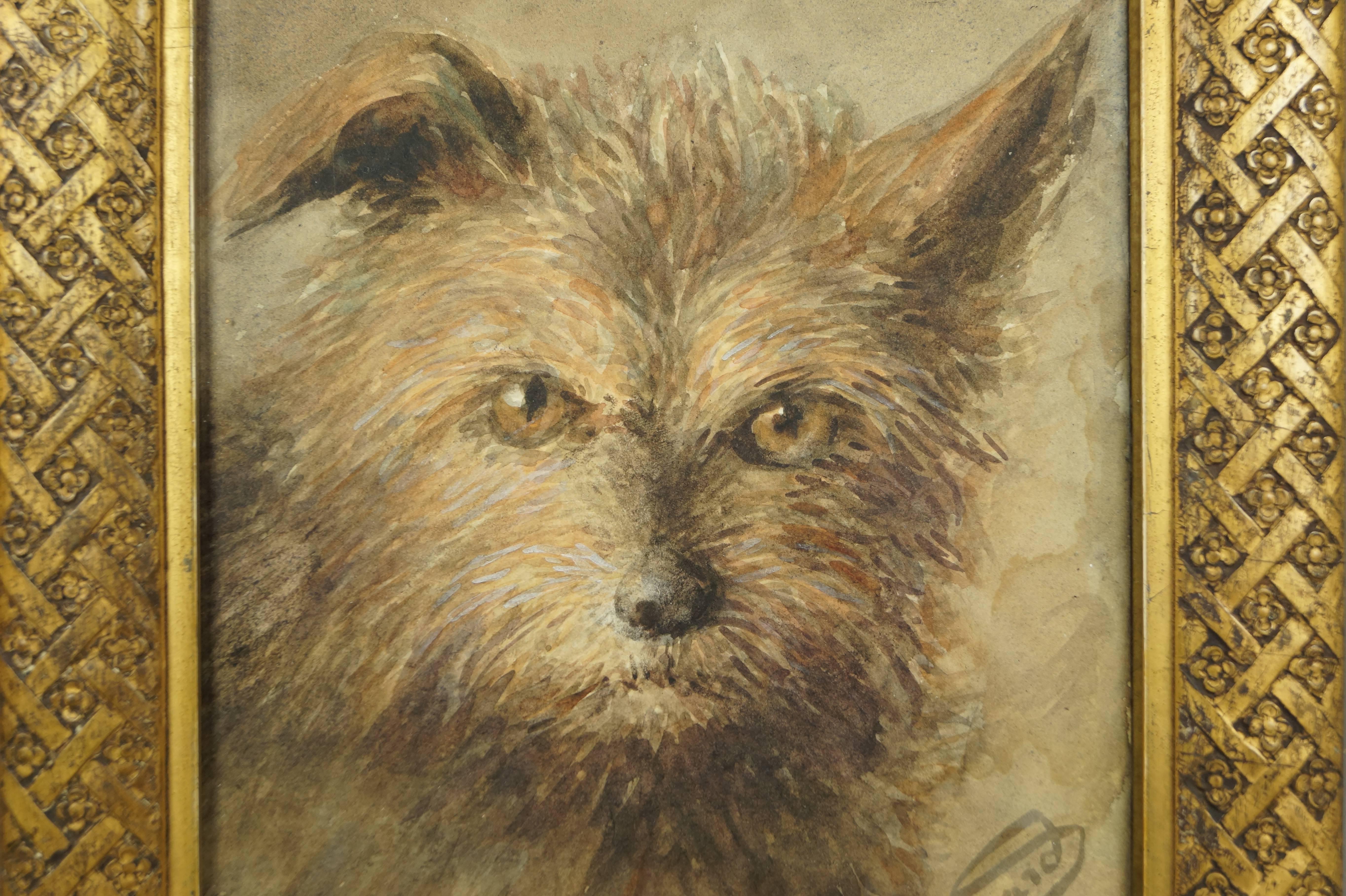 This wonderful early depiction of a Norwich Terrier is by the sought after British artist Emily Lawton Barnard, nee Cummins (active 1881 – 1911). Emily Barnard was an artist, author and an illustrator who worked in London. She wrote and illustrated