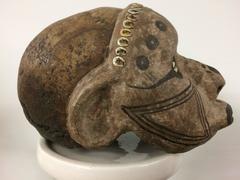 Two Naga decorated ancestor sculls, 'North-East India'