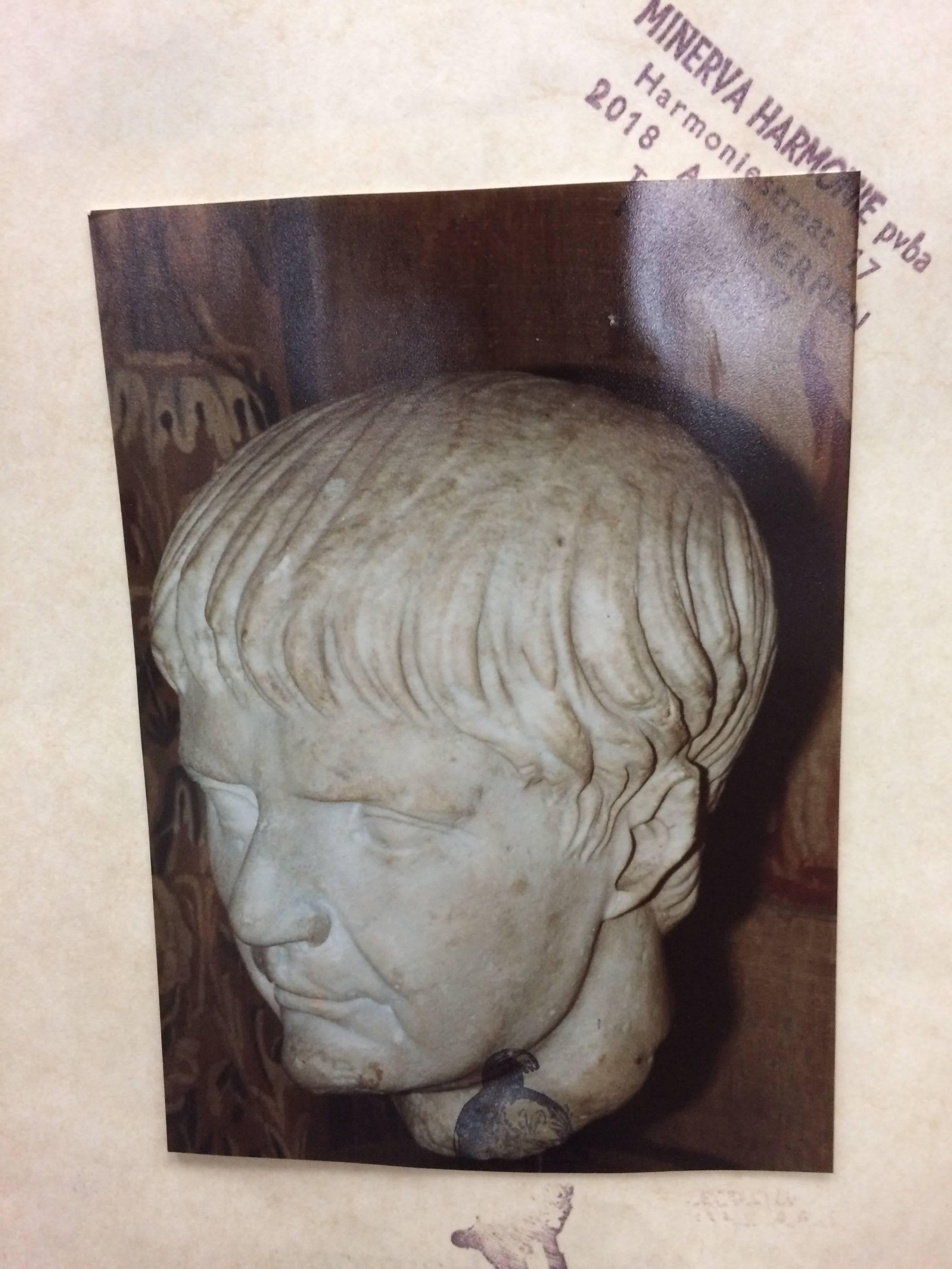 Roman Marble Head  For Sale 2