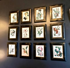 Chinese Export Butterfly Pith Paintings, Complete Set of 12