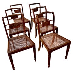 Regency Dining or Side Chairs, Set of 6