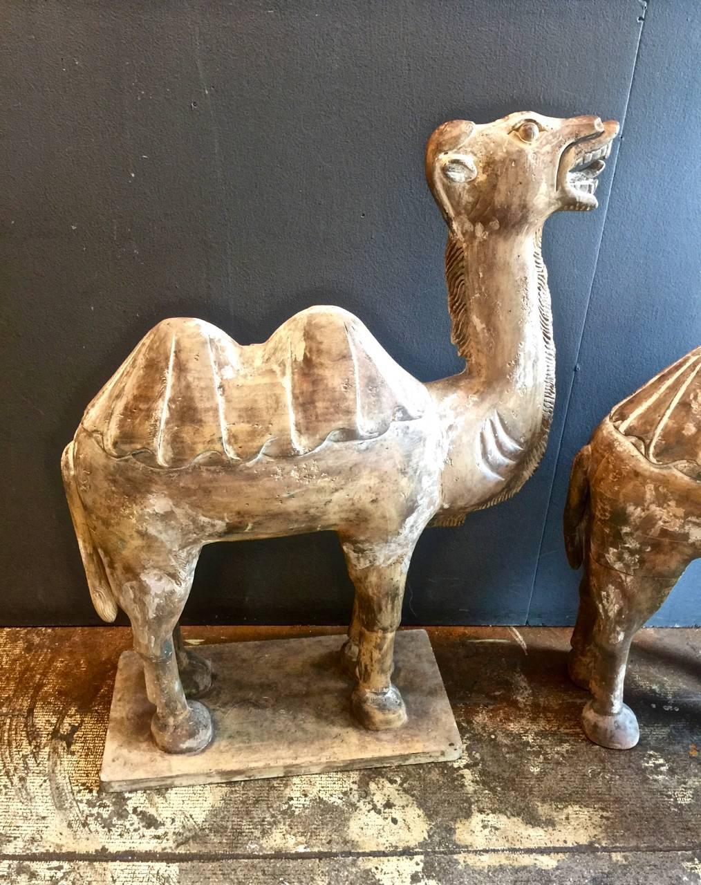 Hand-Carved Pair of Large Tang-Style Chinese Carved Bactrian Camels For Sale