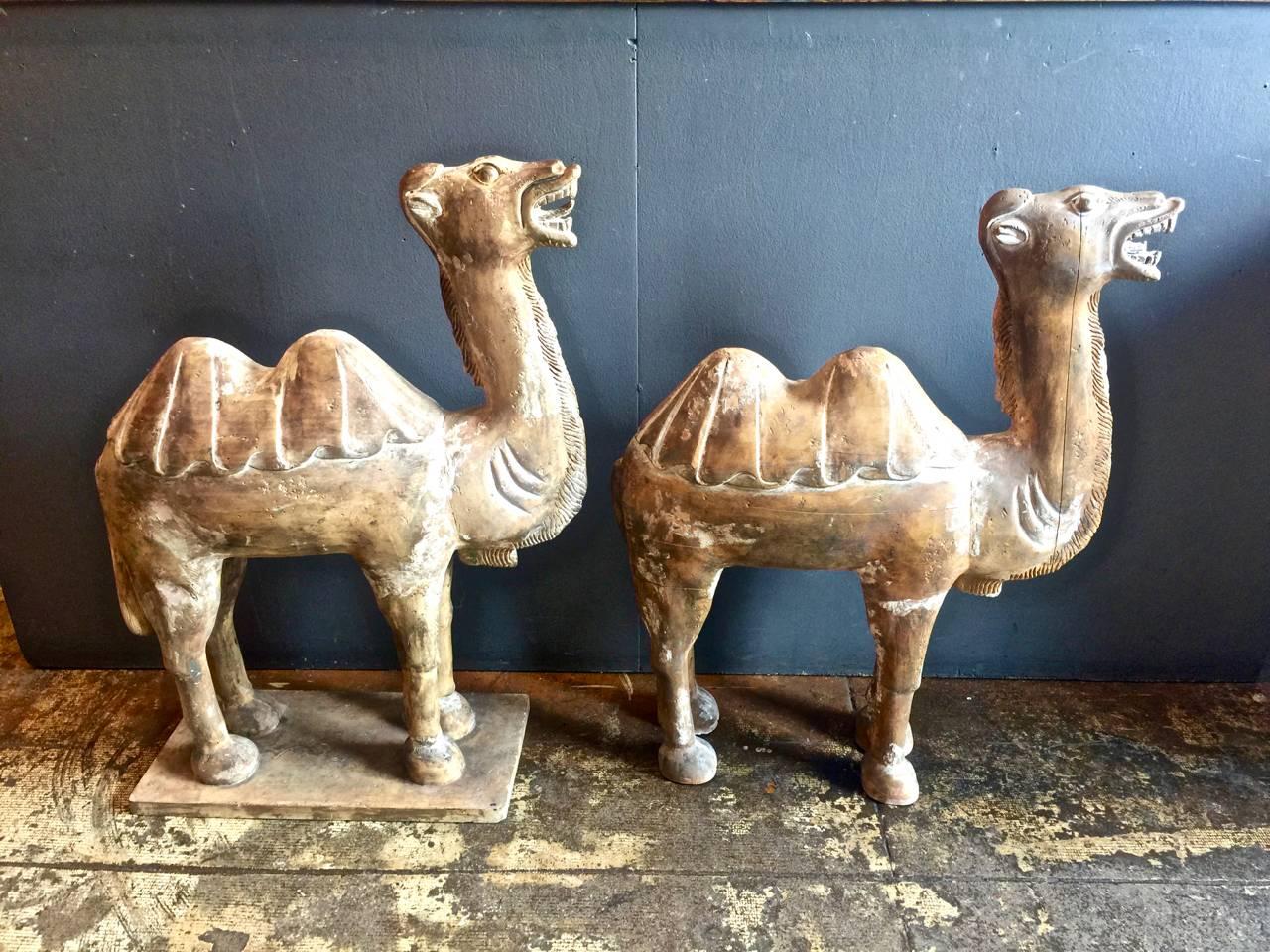 Pair of Large Tang-Style Chinese Carved Bactrian Camels In Good Condition For Sale In Pasadena, CA