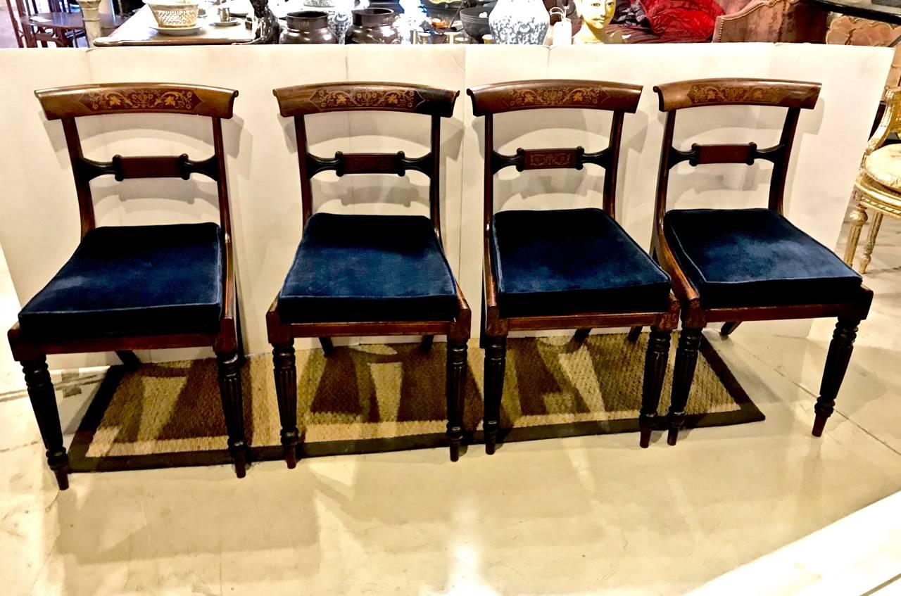 Set of four top quality English Regency mahogany and rosewood dining chairs of Klismos form that have been beautifully detailed in scrolling and line marquetry. The rosewood and faux rosewood frames are stand outs. Although originally caned, the